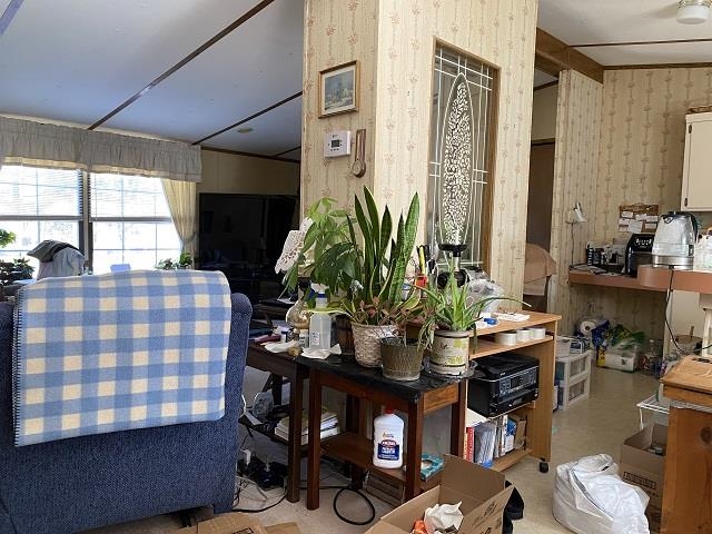 Rice - Commercial Sale