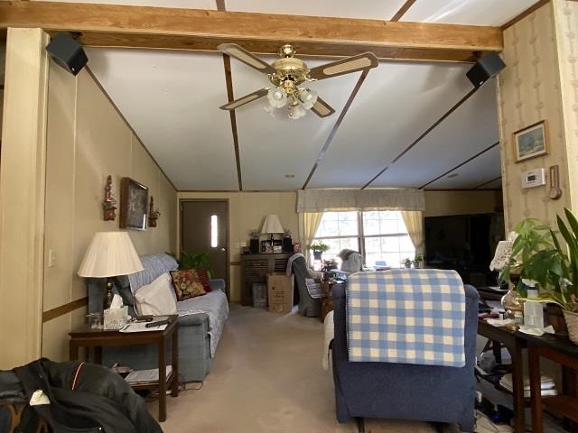 Rice - Commercial Sale