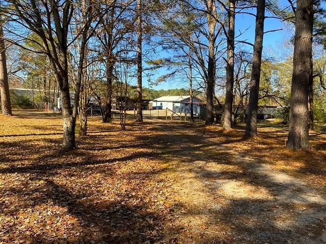 Rice - Commercial Sale