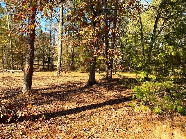 Rice - Commercial Sale