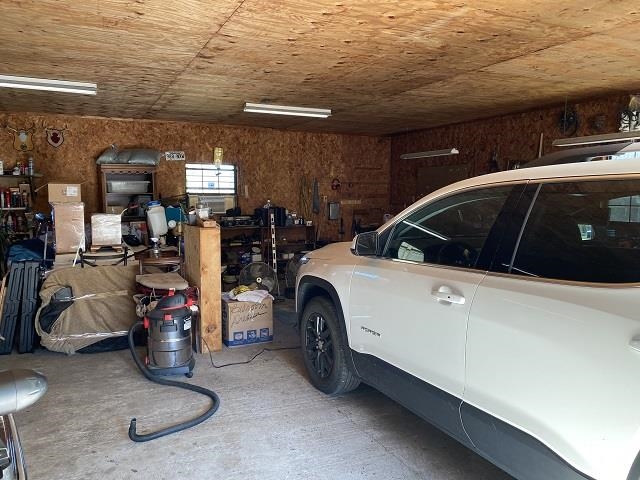 Rice - Commercial Sale