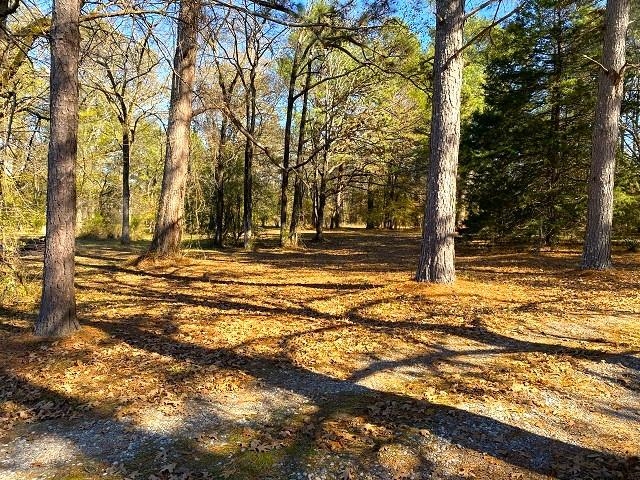 Rice - Commercial Sale