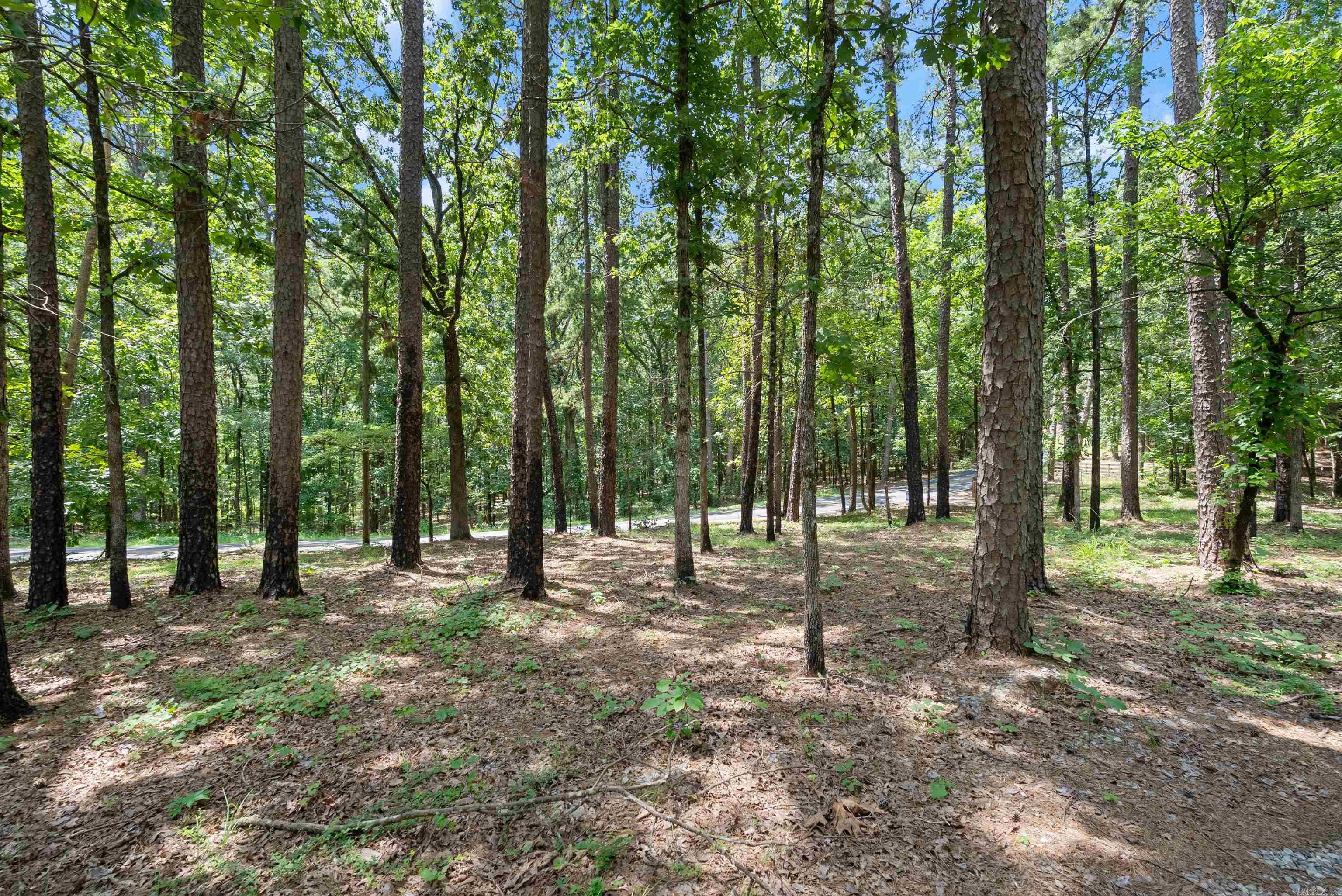 Partial wooded timber land with rentable cabin & barn structure available just past county line road off Lawson! Perfect for your escape from city life that is still a reasonable commute into town. Build your family compound or leave the timber acres wooded for hunting! This beautiful rolling tract is ready for you to make it your next development or a family estate. Owner Financing Available!