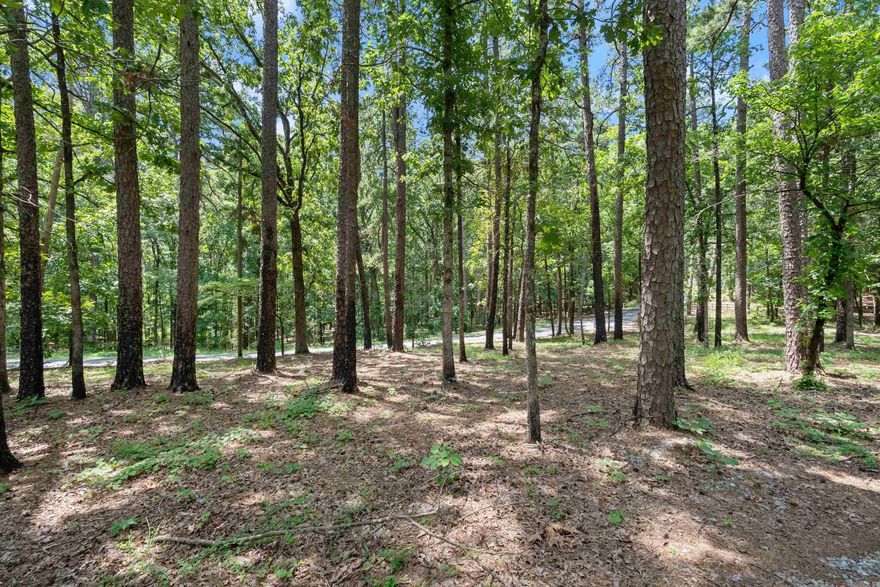 Partial wooded timber land with rentable cabin & barn structure available just past county line road off Lawson! Perfect for your escape from city life that is still a reasonable commute into town. Build your family compound or leave the timber acres wooded for hunting! This beautiful rolling tract is ready for you to make it your next development or a family estate. Owner Financing Available!