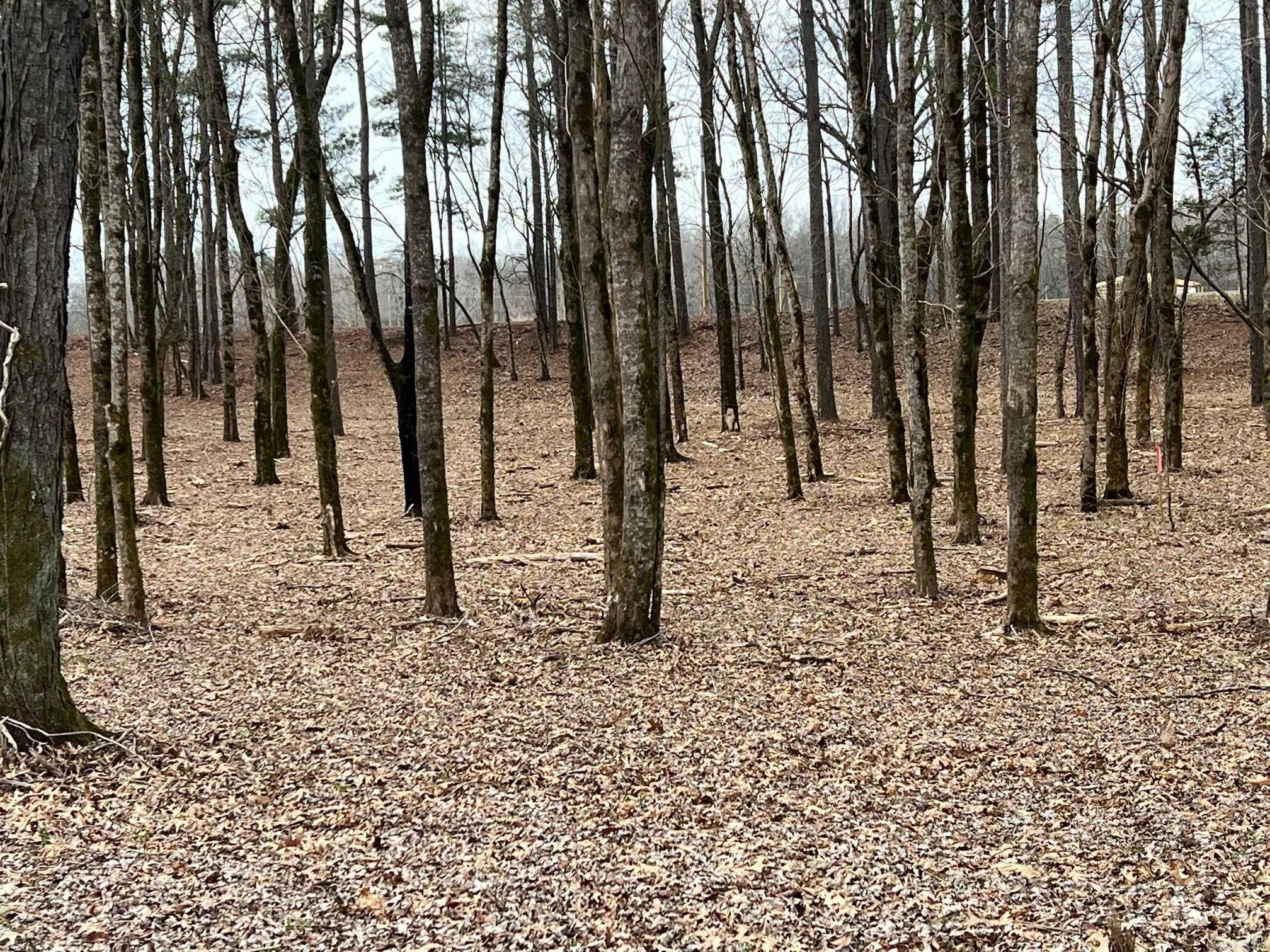 RIVER CREEK ESTATES - Land