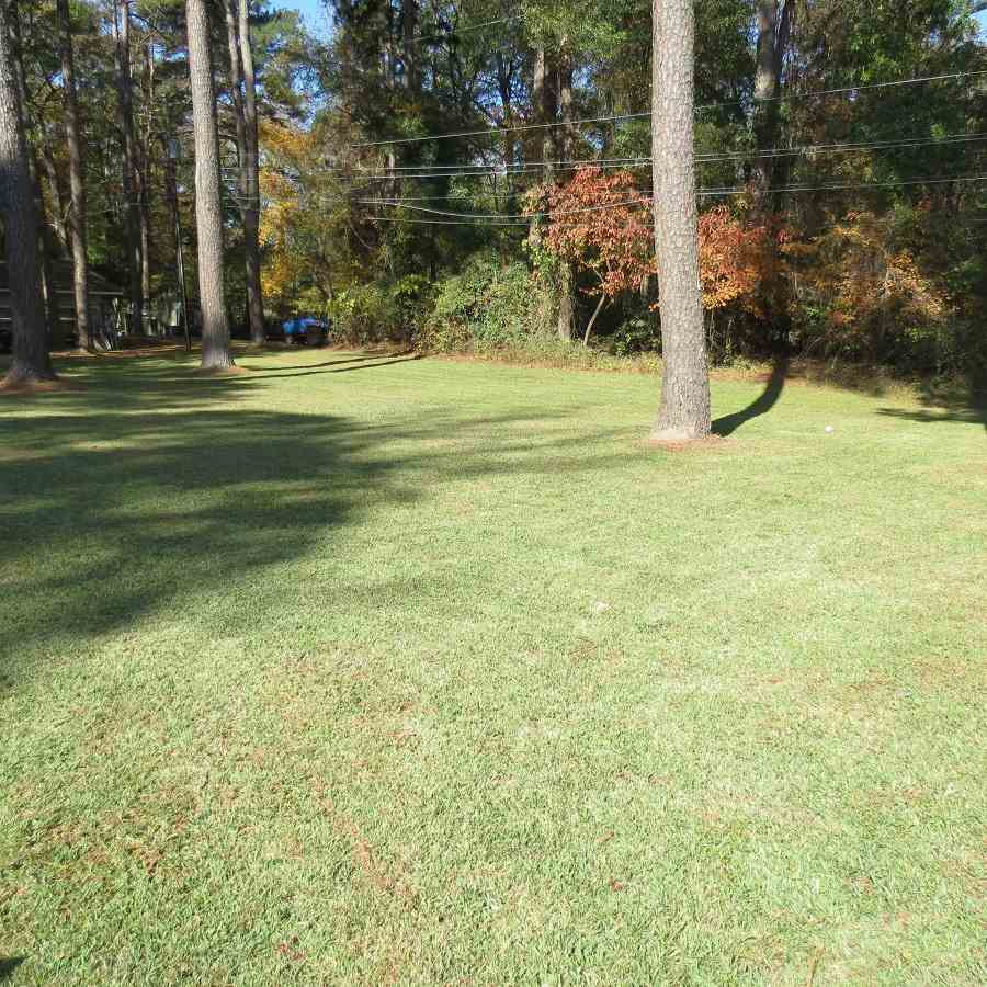 Suburbia - Residential