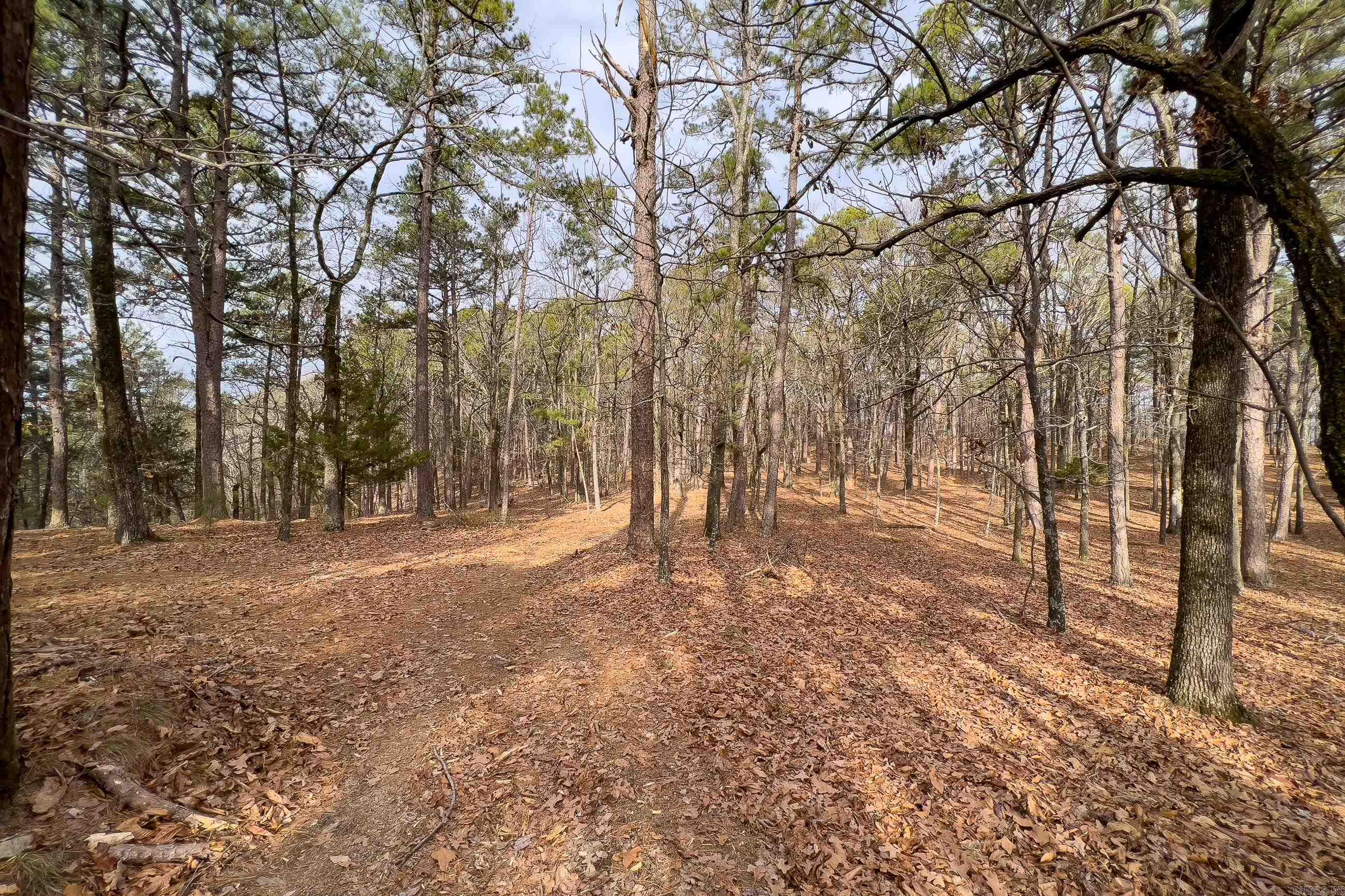 One of the LAST RIDGES undeveloped in Little Rock Area, 142+/- acres with Fabulous Views of Pinnacle Mt and the Little Maumelle River. Would make an amazing subdivision or beautiful estate sites. MANY BEAUTIFUL HOME SITES through out the property. See AGENT Remarks and Call Listing Agent for any questions. Will need 4 Wheel Drive to drive through the property.