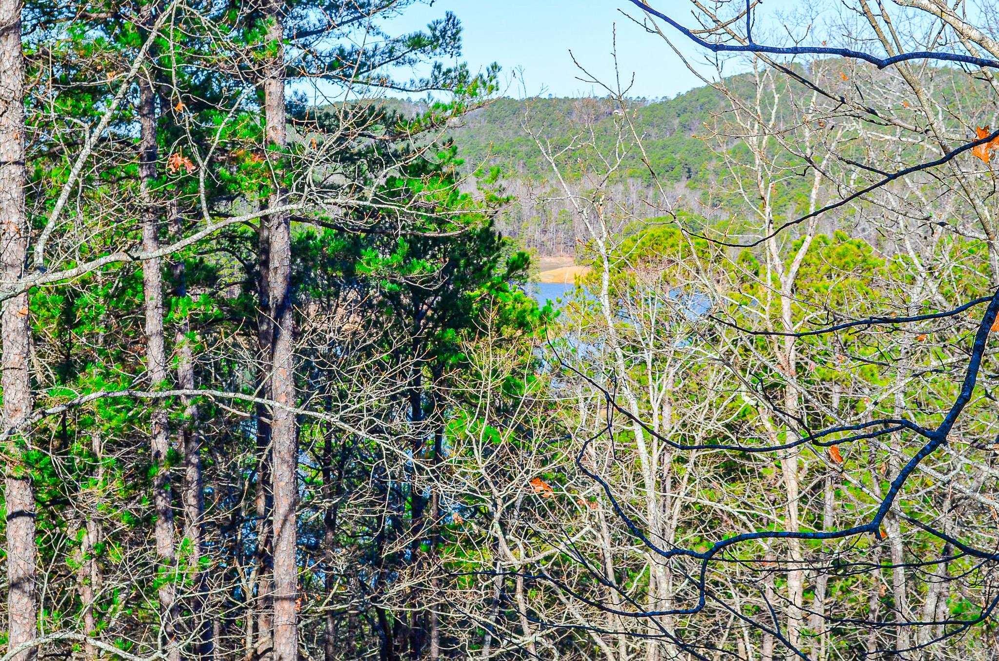 Gerante - Residential