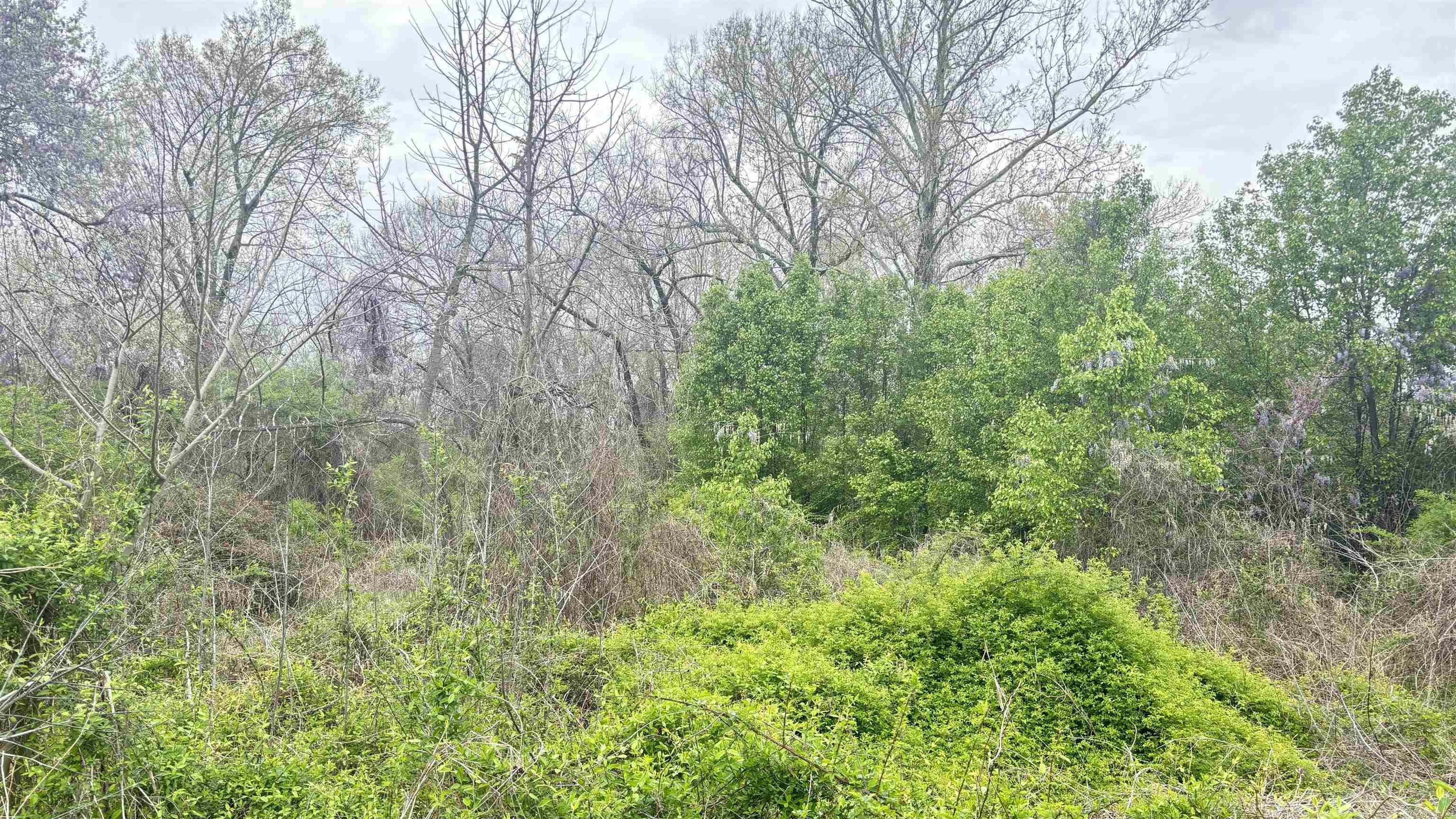 Lot to build a rent home or otherwise. Appears to be zoned single family residential. Please do your own due diligence on zoning and utility availability.