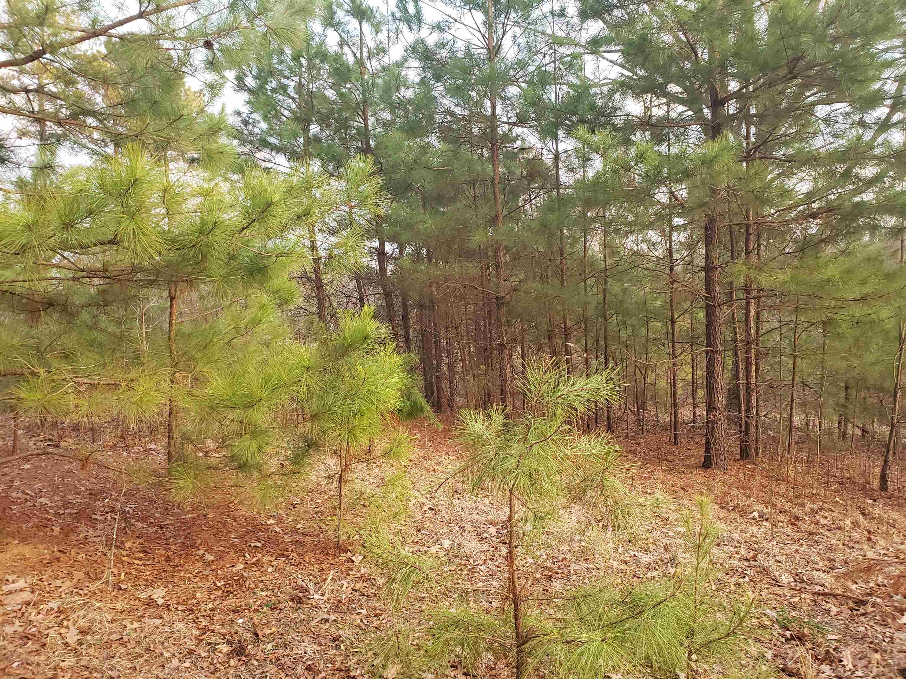 Metes & Bounds - Land