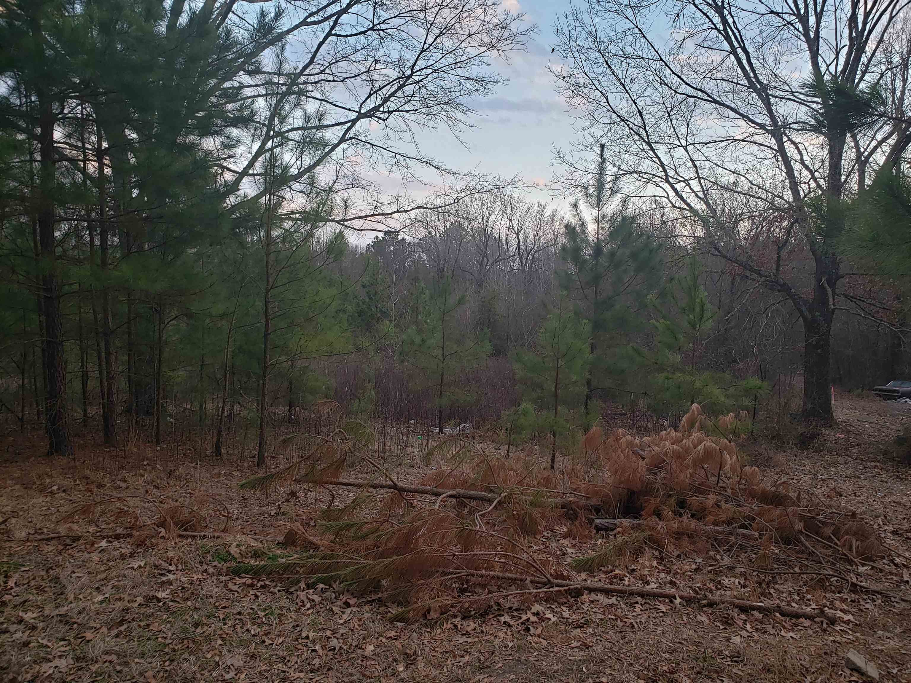 Metes & Bounds - Land