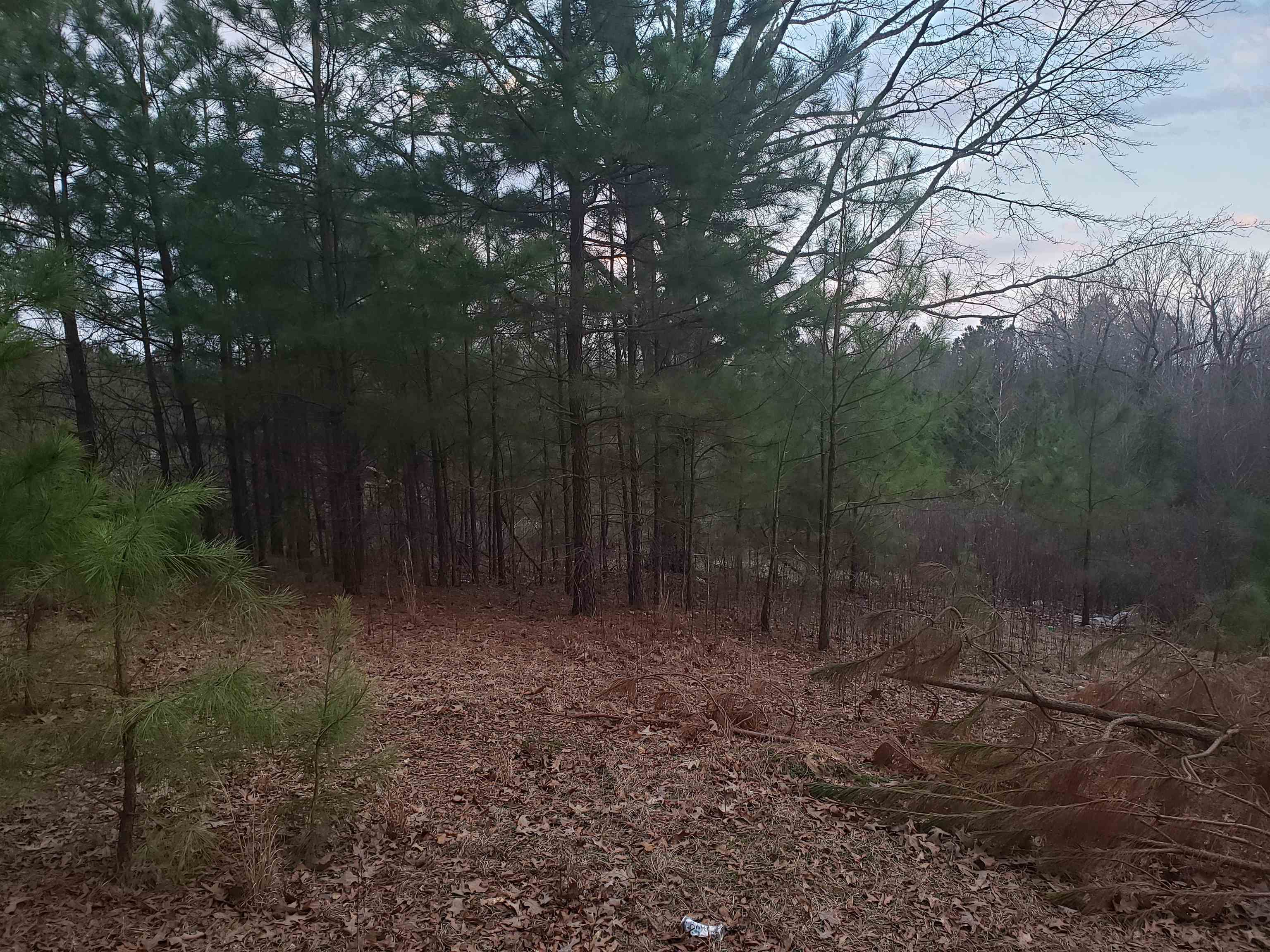 Metes & Bounds - Land