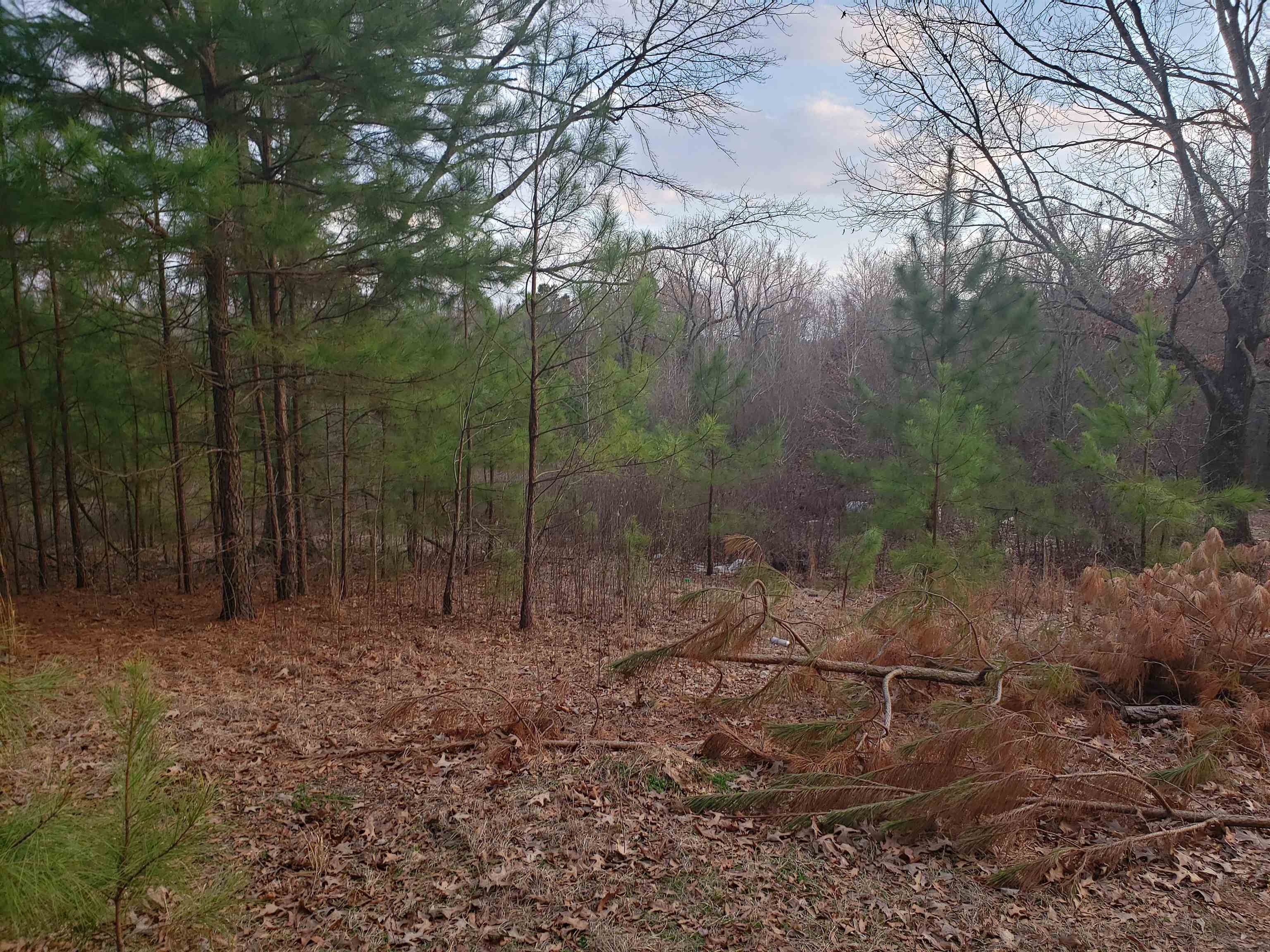 Metes & Bounds - Land