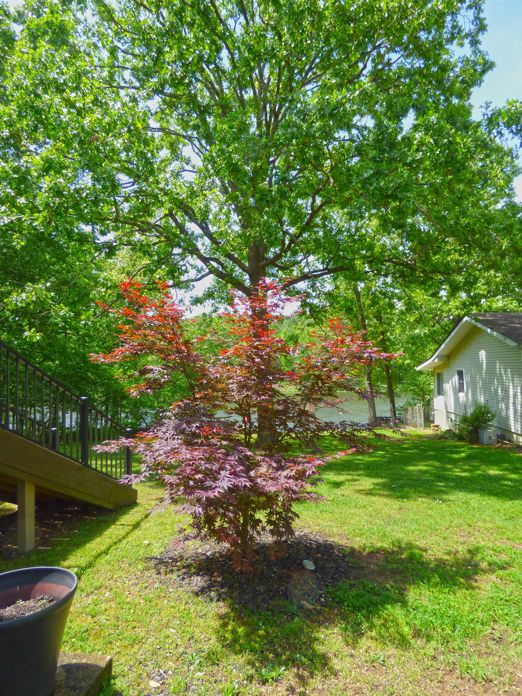 Cherokee Village - Residential