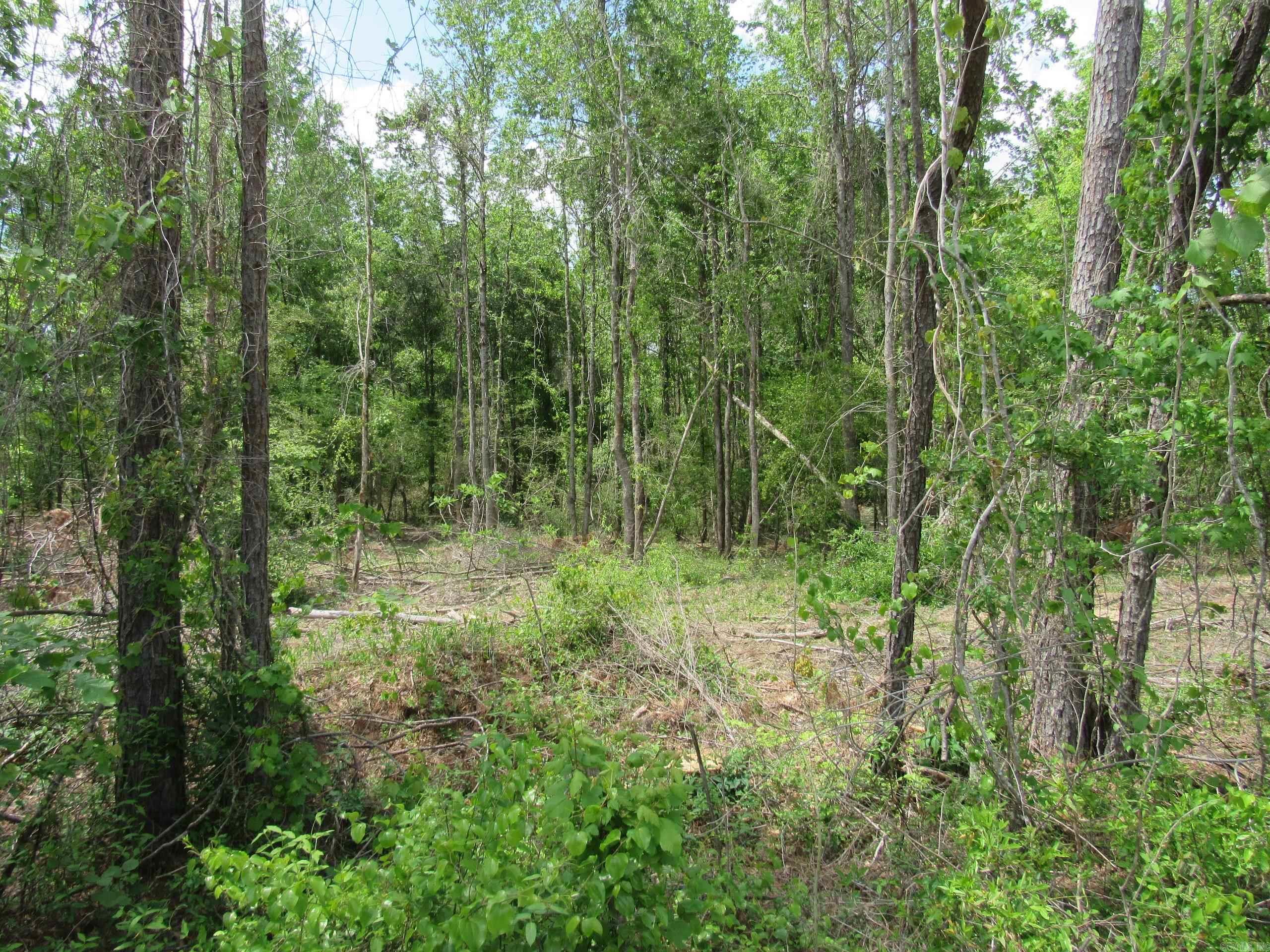 Not in Subdivision - Land