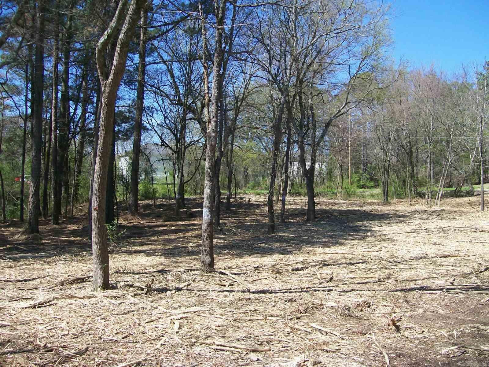 Lois K Wilson Estates - Land