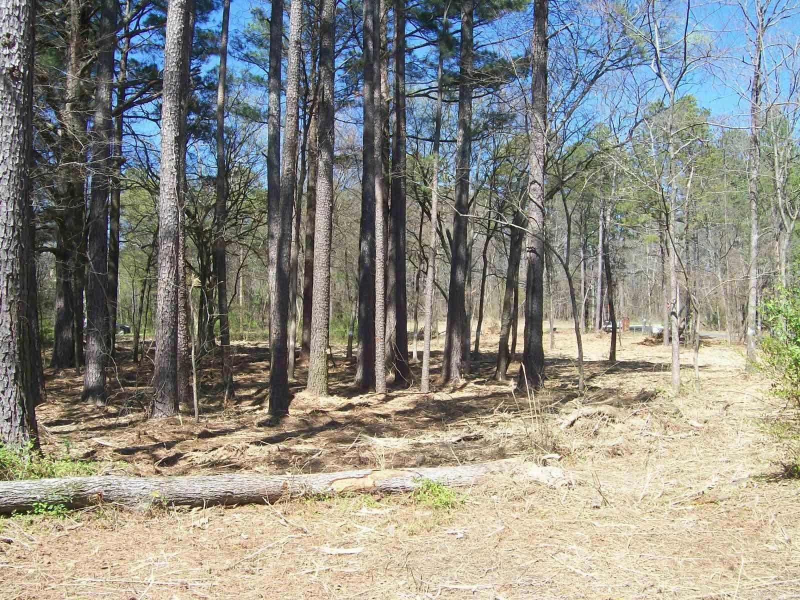 Lois K Wilson Estates - Land