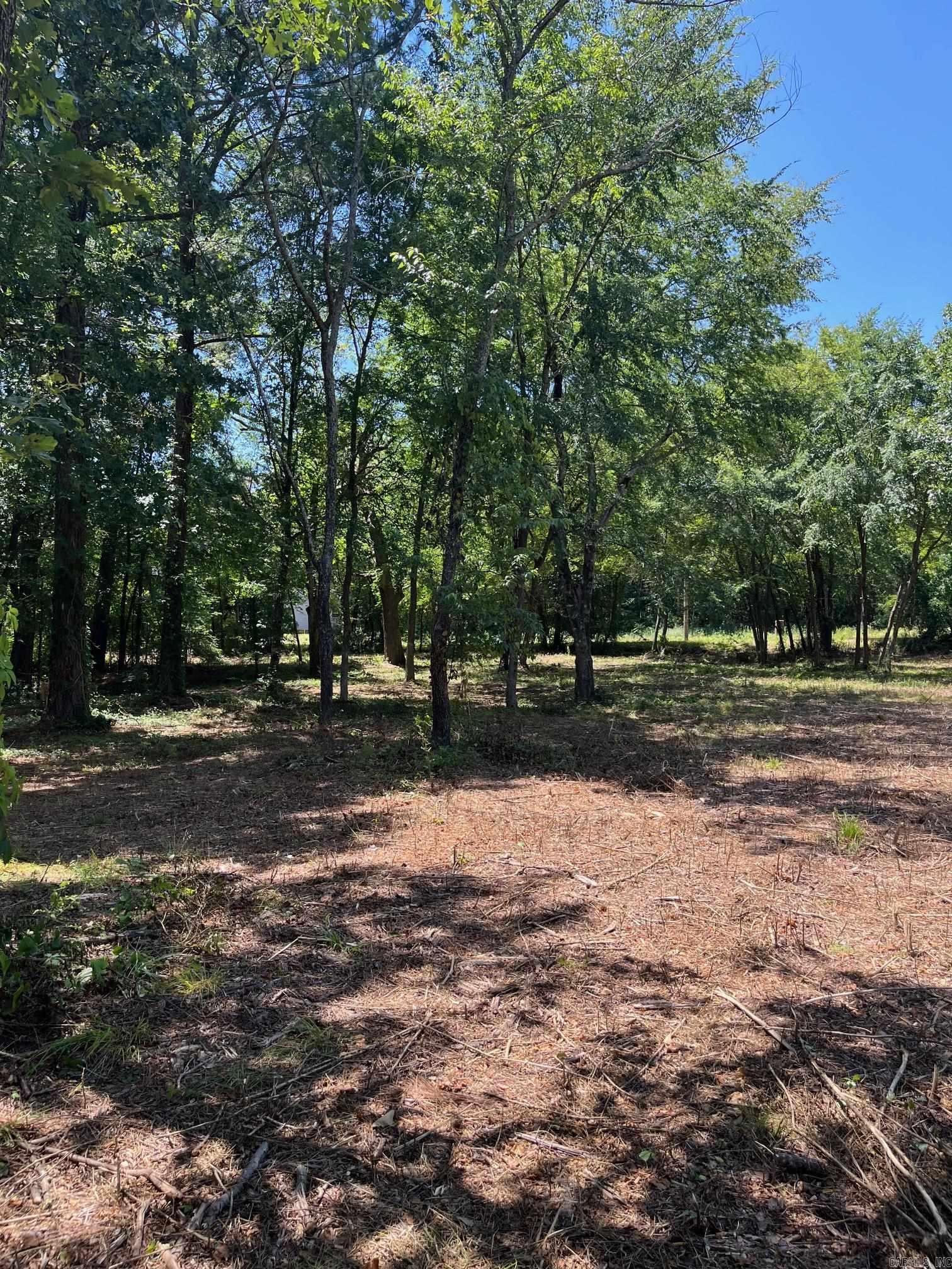 Lois K Wilson Estates - Land