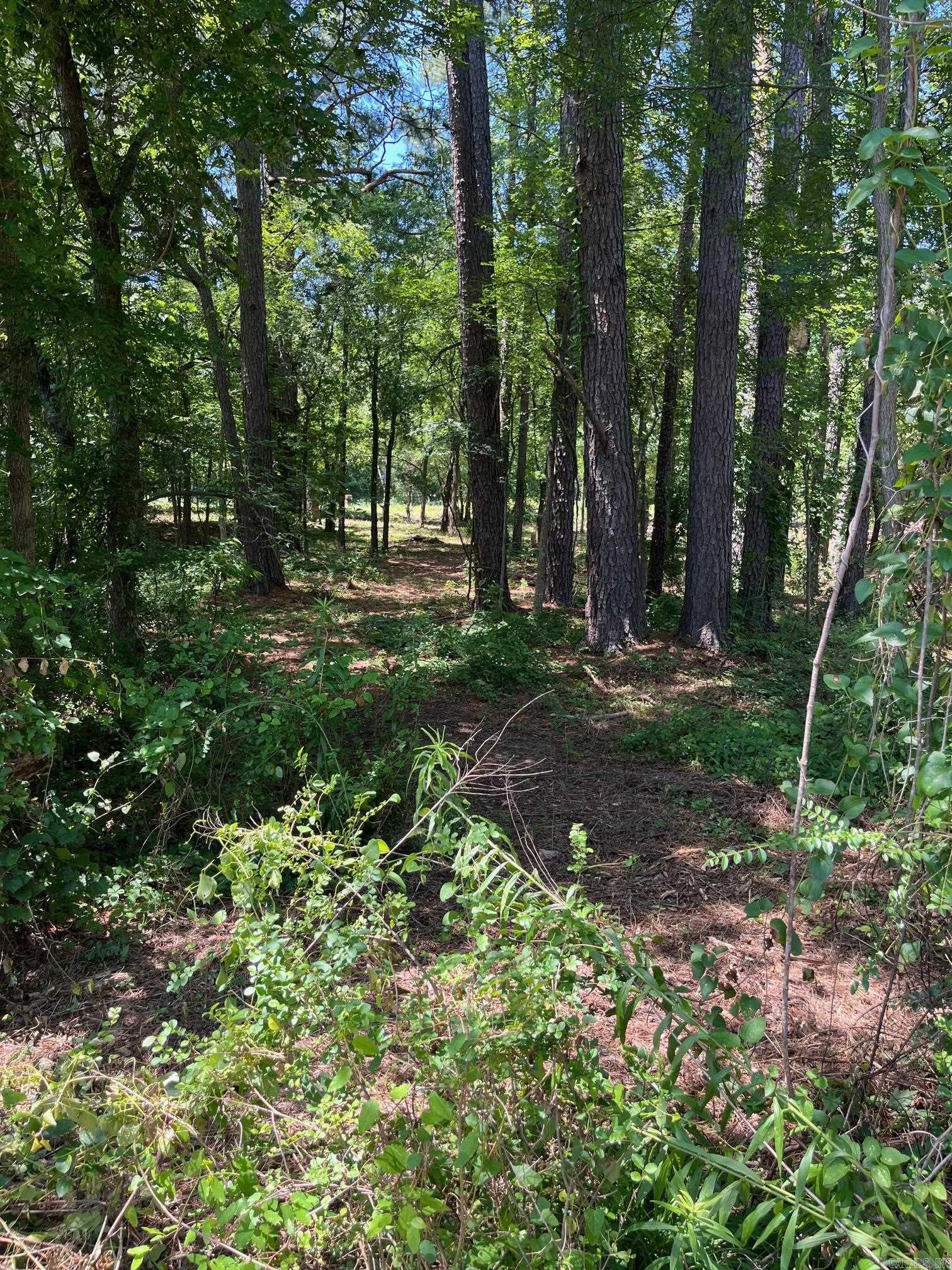 Lois K Wilson Estates - Land