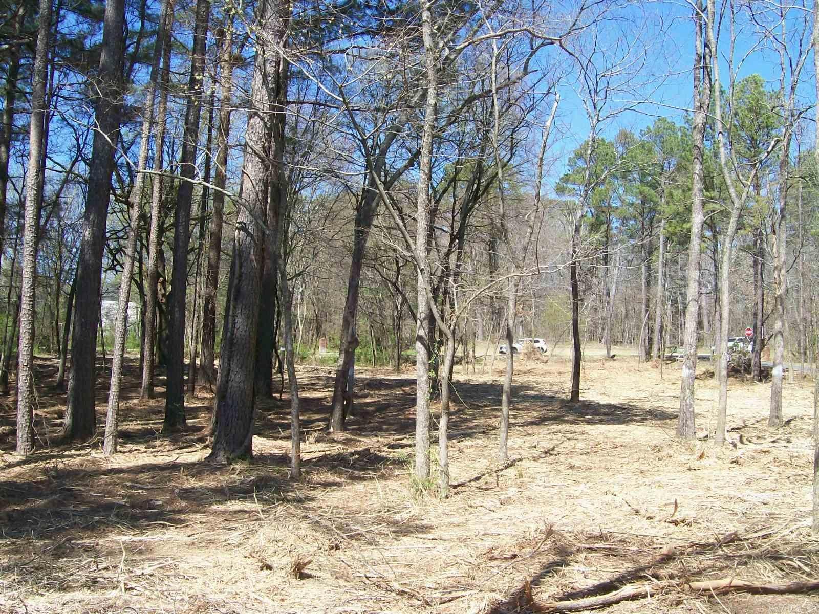 Lois K Wilson Estates - Land