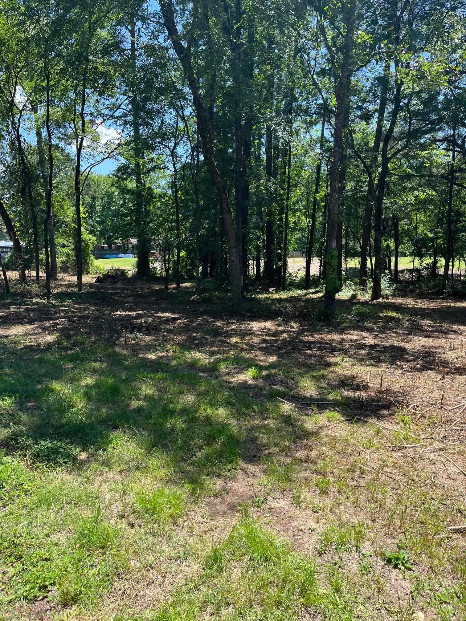 Lois K Wilson Estates - Land