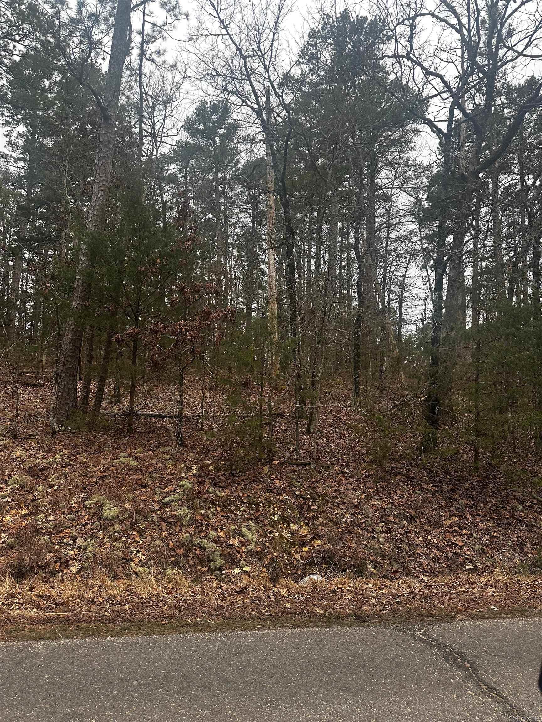 Build Your Dream Home in Hot Springs Village! Discover this beautiful lot in Hot Springs Village, the largest gated community in the U.S., offering serene wooded views and access to nine championship golf courses, 11 lakes, scenic trails, and top-notch amenities. Enjoy privacy, security, and a vibrant lifestyle with dining, recreation, and community events. Don’t miss this opportunity to create your perfect retreat! Call today for more details!