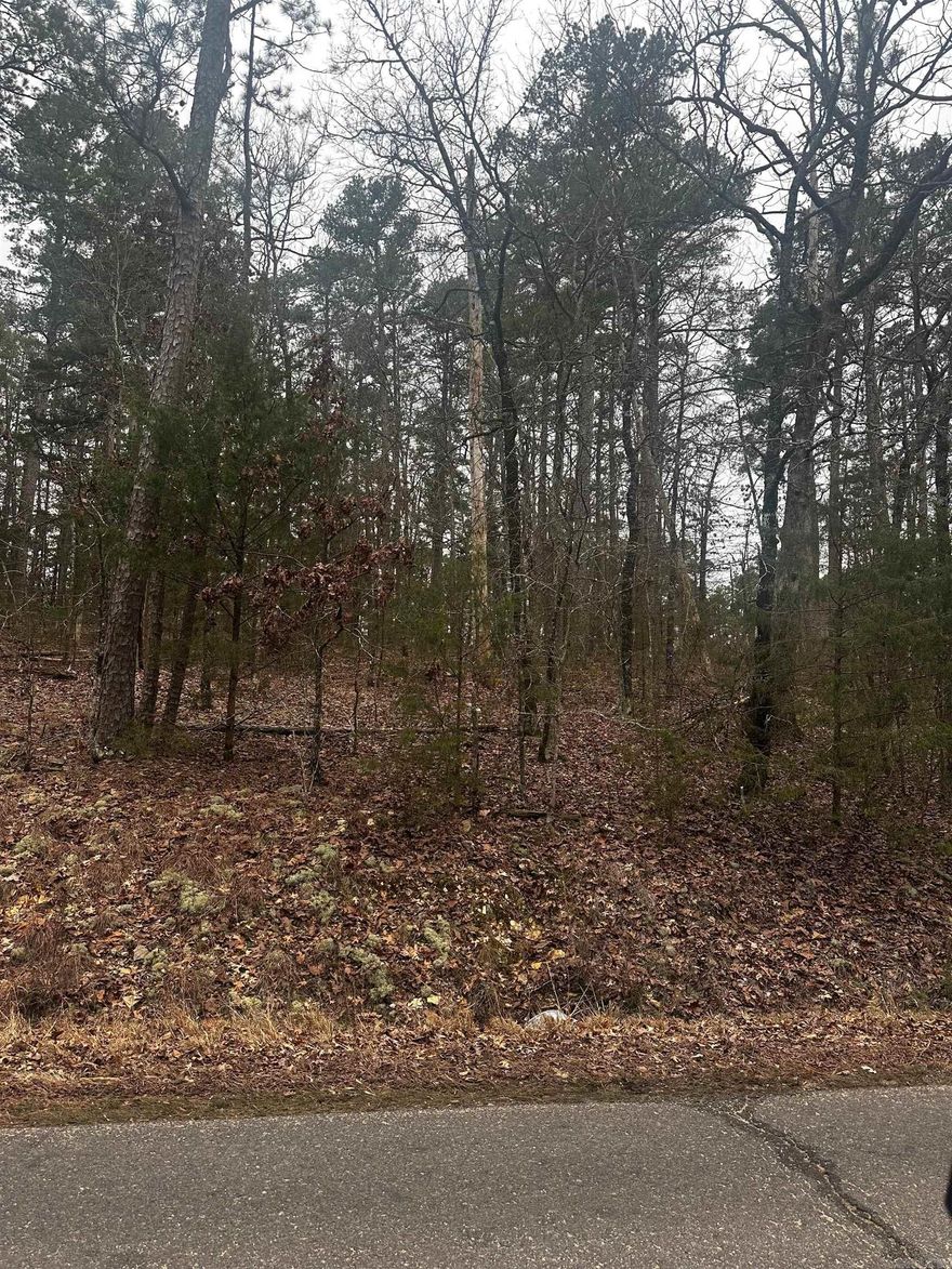 Build Your Dream Home in Hot Springs Village!  Discover this beautiful lot in Hot Springs Village, the largest gated community in the U.S., offering serene wooded views and access to nine championship golf courses, 11 lakes, scenic trails, and top-notch amenities. Enjoy privacy, security, and a vibrant lifestyle with dining, recreation, and community events. Don’t miss this opportunity to create your perfect retreat!  Call today for more details!