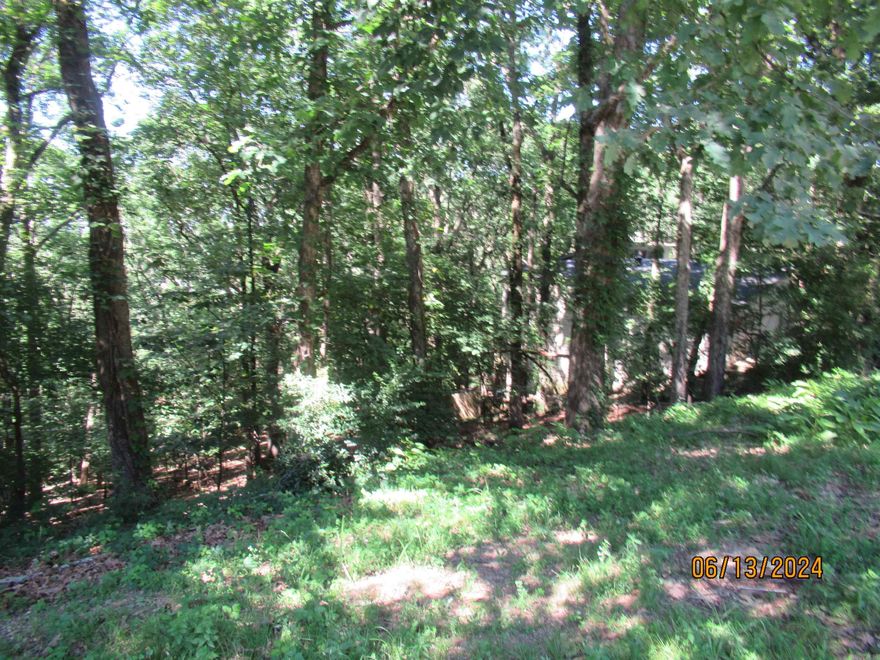 Established neighborhood; Vacant Lot between 2 homes on Right side of road ; ready for a New build ; minutes away from Cantrell with shopping and eateries nearby; Check it out!!!