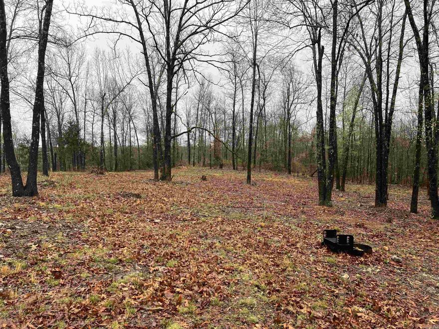 Great views can be had from this 16.15 acres. The land features a nice level building site with rural water, fiber internet, and electric available. No restrictions. Close to the Buffalo National River Park and only 8 miles to Yellville. Come check it out today.