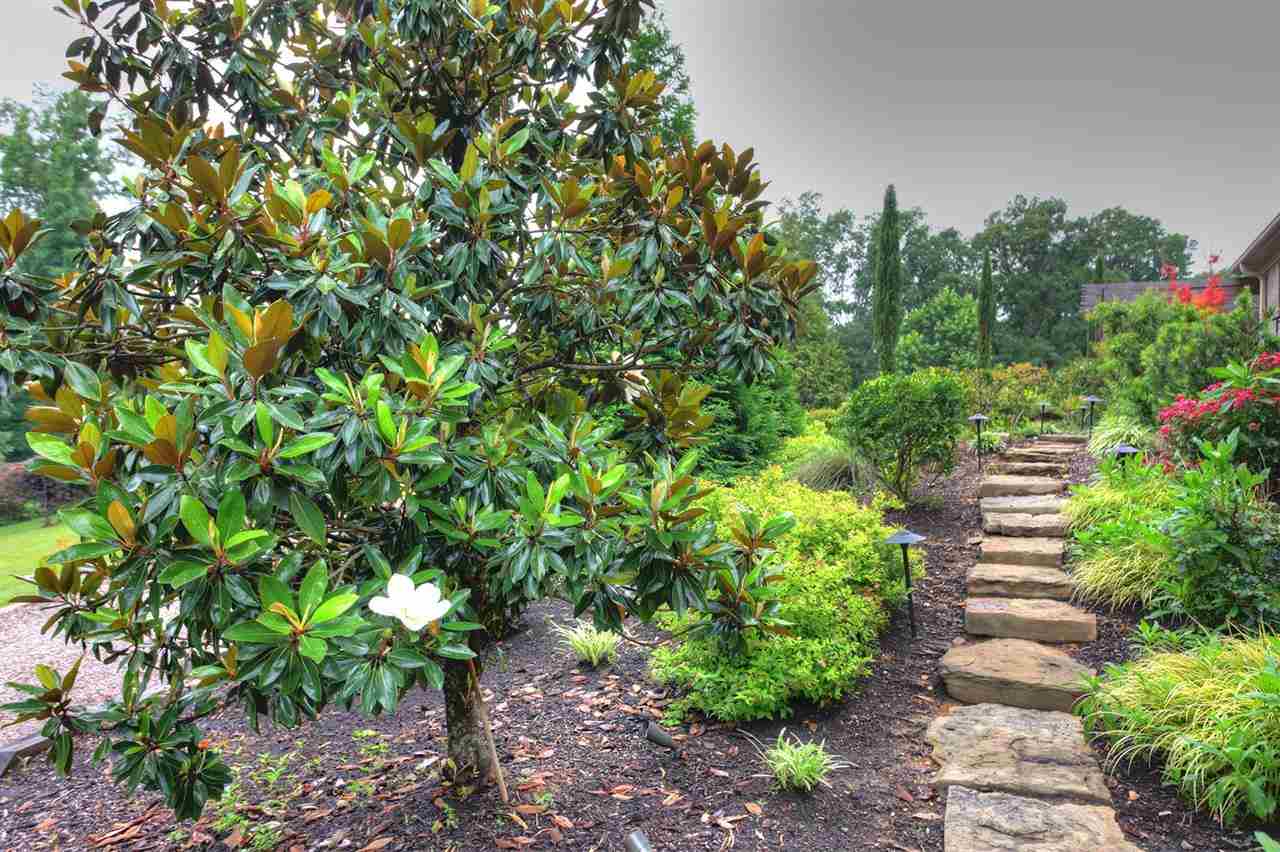 ESTATES OF RIVER VIEW - Residential