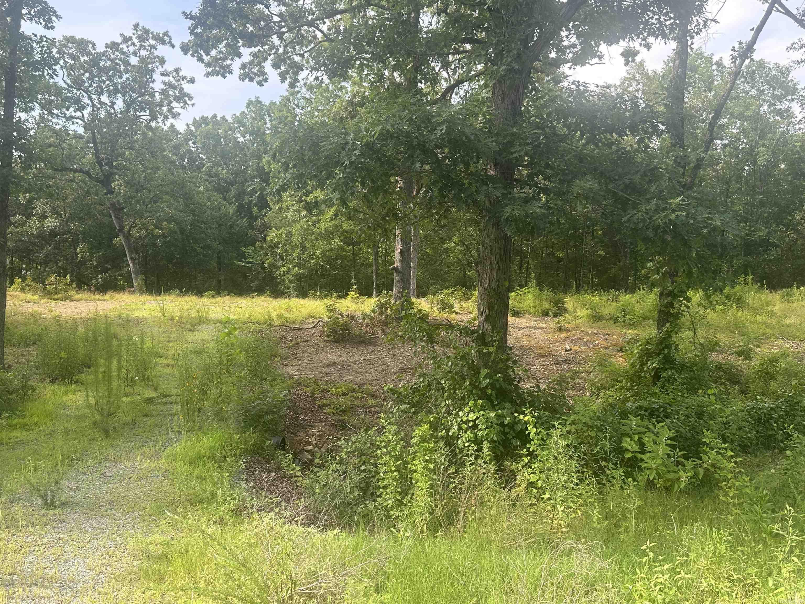 Discover the perfect place to build your dream home on this spacious 2.17 acre lot located in a private, gated subdivision. Nestled in a serene setting with access to a beautiful community lake this property offers both peace and prestige. Enjoy the security and charm of this well-maintained neighborhood, featuring custom homes and a strong sense of community. With a minimum build requirement of 1850 square feet, you'll be surrounded by quality residences while maintaining plenty of space and privacy. Whether you're ready to build now or invest for the future, this lot offers exceptional value in a sought-after neighborhood. Property Highlights: *2.17 acre homesite ??Gated community access ??Community lake for fishing, kayaking, or relaxing ??1,850 sq ft minimum home size ?? Paved roads and utility access ?? Ideal for a custom-built home
