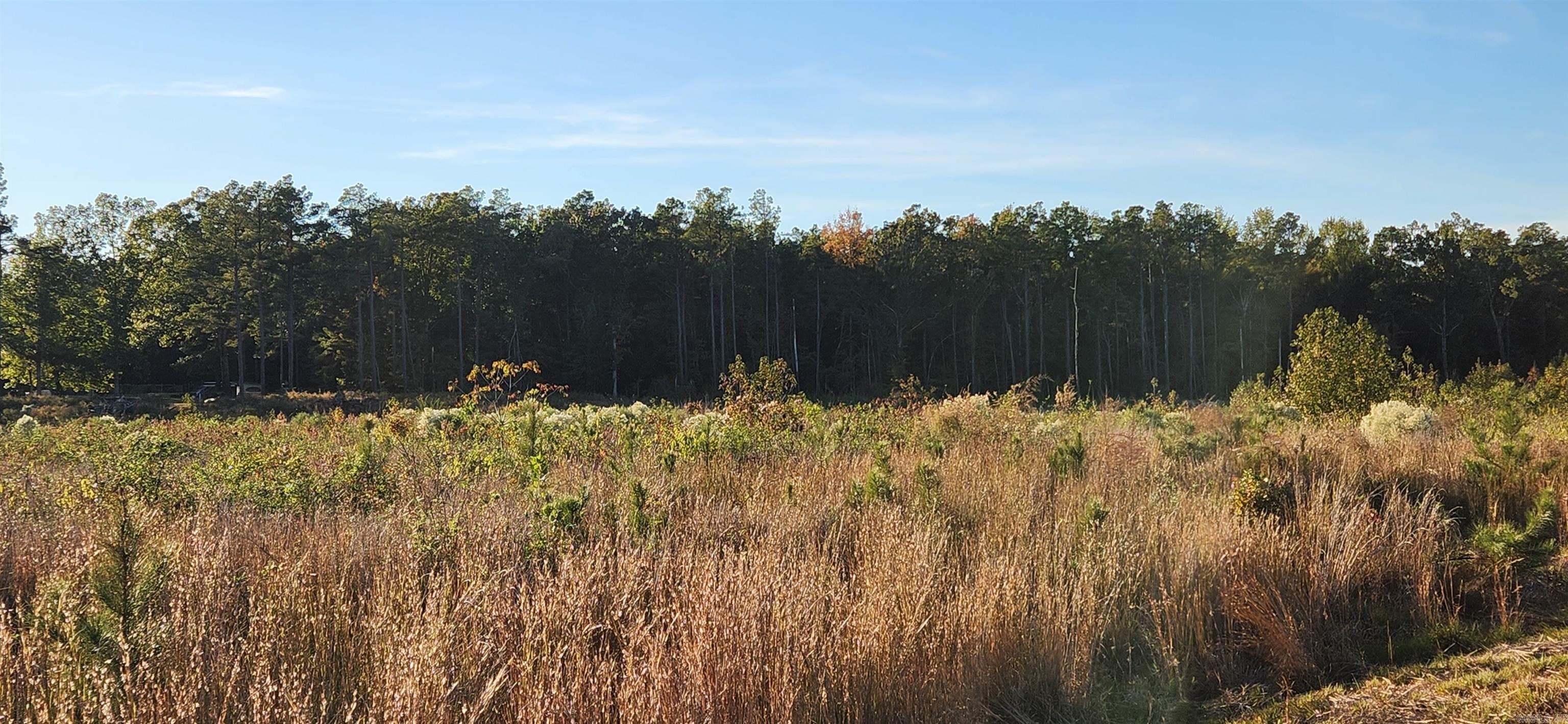 THOMAS' ACRES - Land