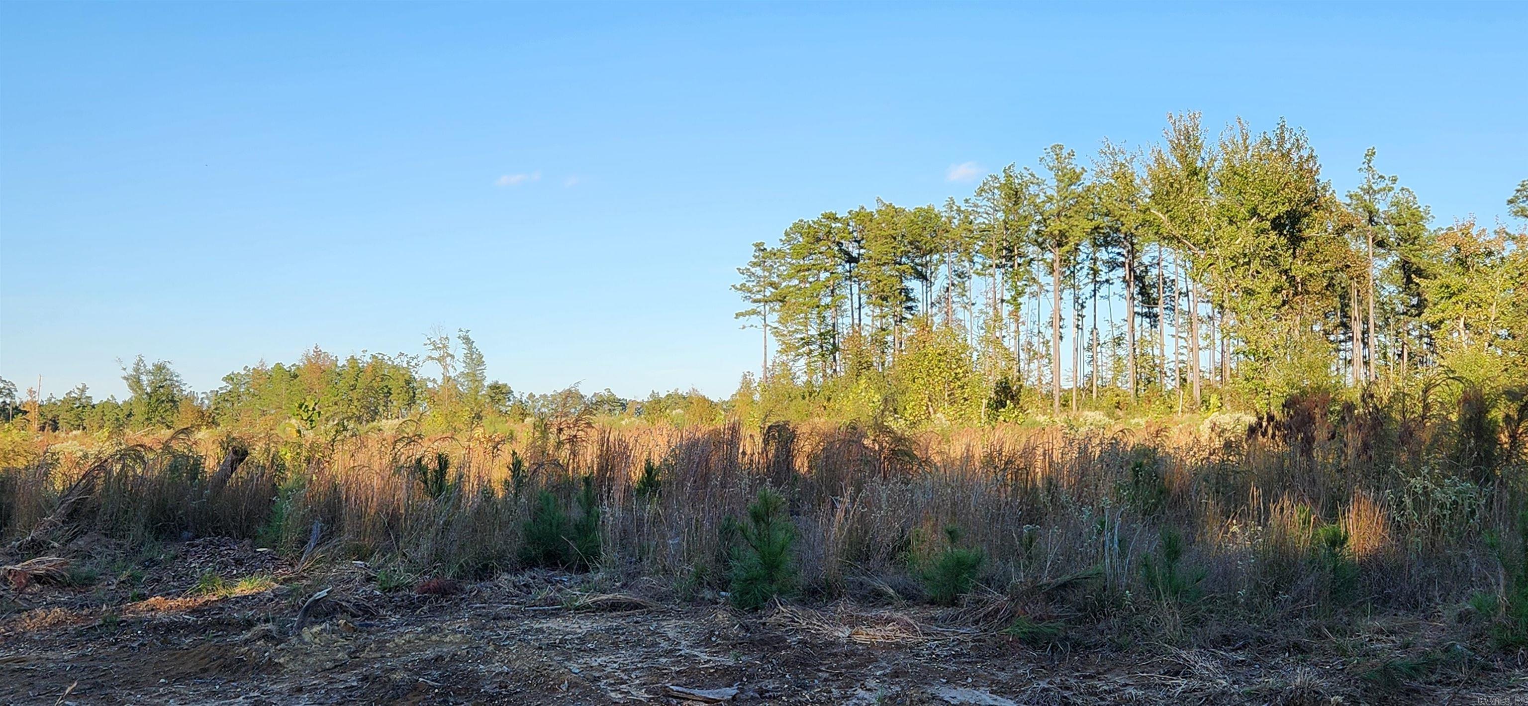 THOMAS' ACRES - Land