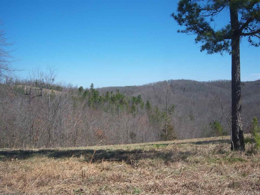 01910 Great lots with a nice view. There is power and water available. These lots are only minutes from all Mountain View has to offer including The White River, Blanchard Springs Caverns, The Ozark National Forest, The Folk Center and more. $19,000 each