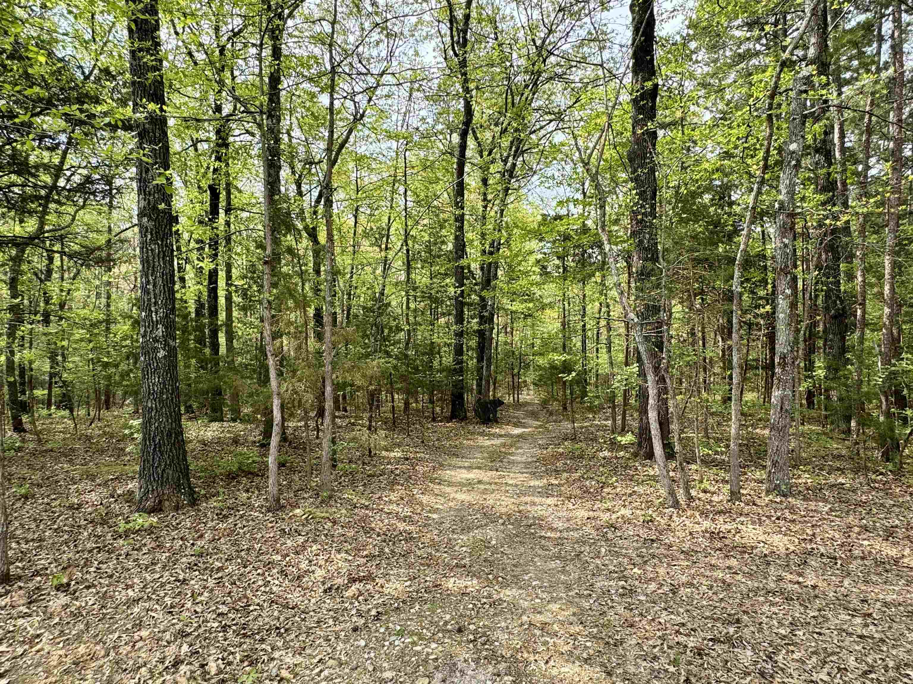 HIGHTOP - Residential