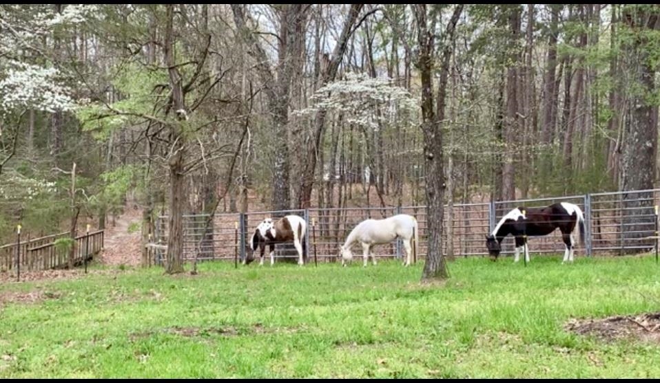 HIGHTOP - Residential