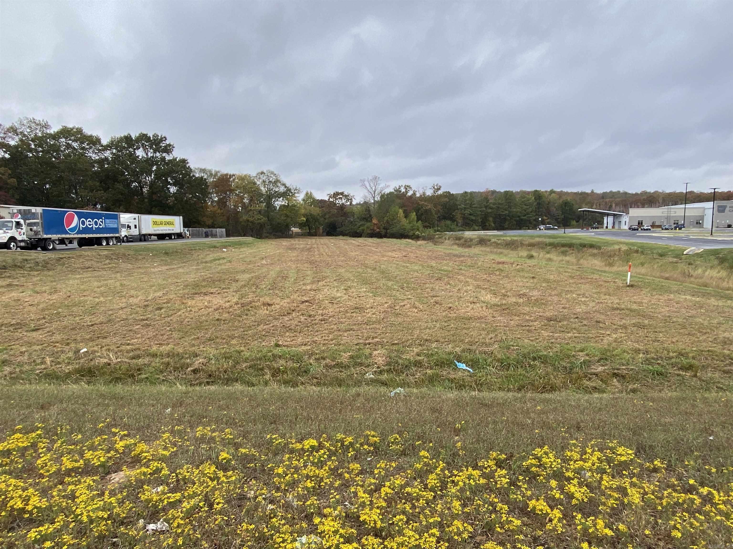 Fantastic Location for a New Business! High Traffic count on one of Cabot's main arteries for those living on the West side of Cabot and Conway to Cabot traffic. Lot runs deep and has many potential uses. Narrow and Deep lot ready for you!