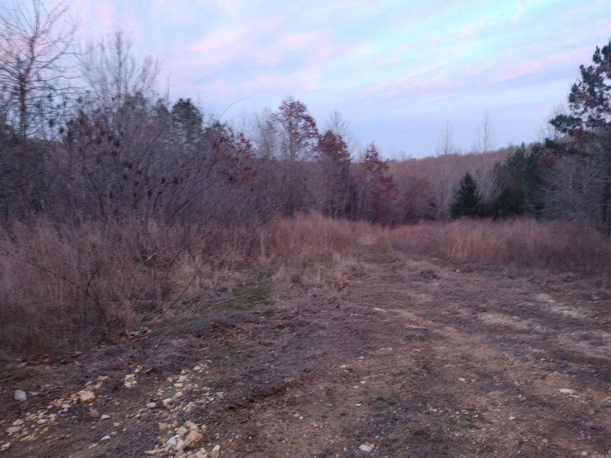 Seeking a 10-acre M/L rural property with a stunning view, featuring readily available power, water and fiber at the property's frontage accessed via a county rd. with no restrictive covenants, ideal for hunting or transforming into a hobby farm with vast possibilities, including small spring perfect for creating a pond