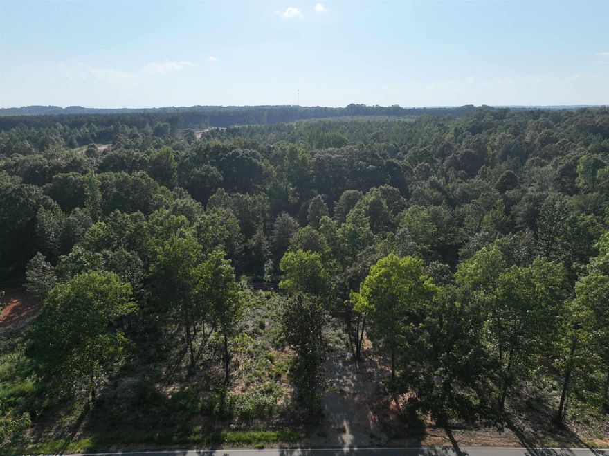 Pristine 10 wooded acres 21 miles south of Little Rock in Saline County. Dirt road. Ready for development or hold for appreciation. Seller will provide survey. Part of a larger parcel.