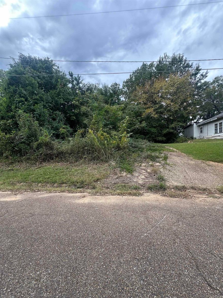Whether you’re looking to invest, build, or escape the hustle and bustle, this little slice of land is full of potential!