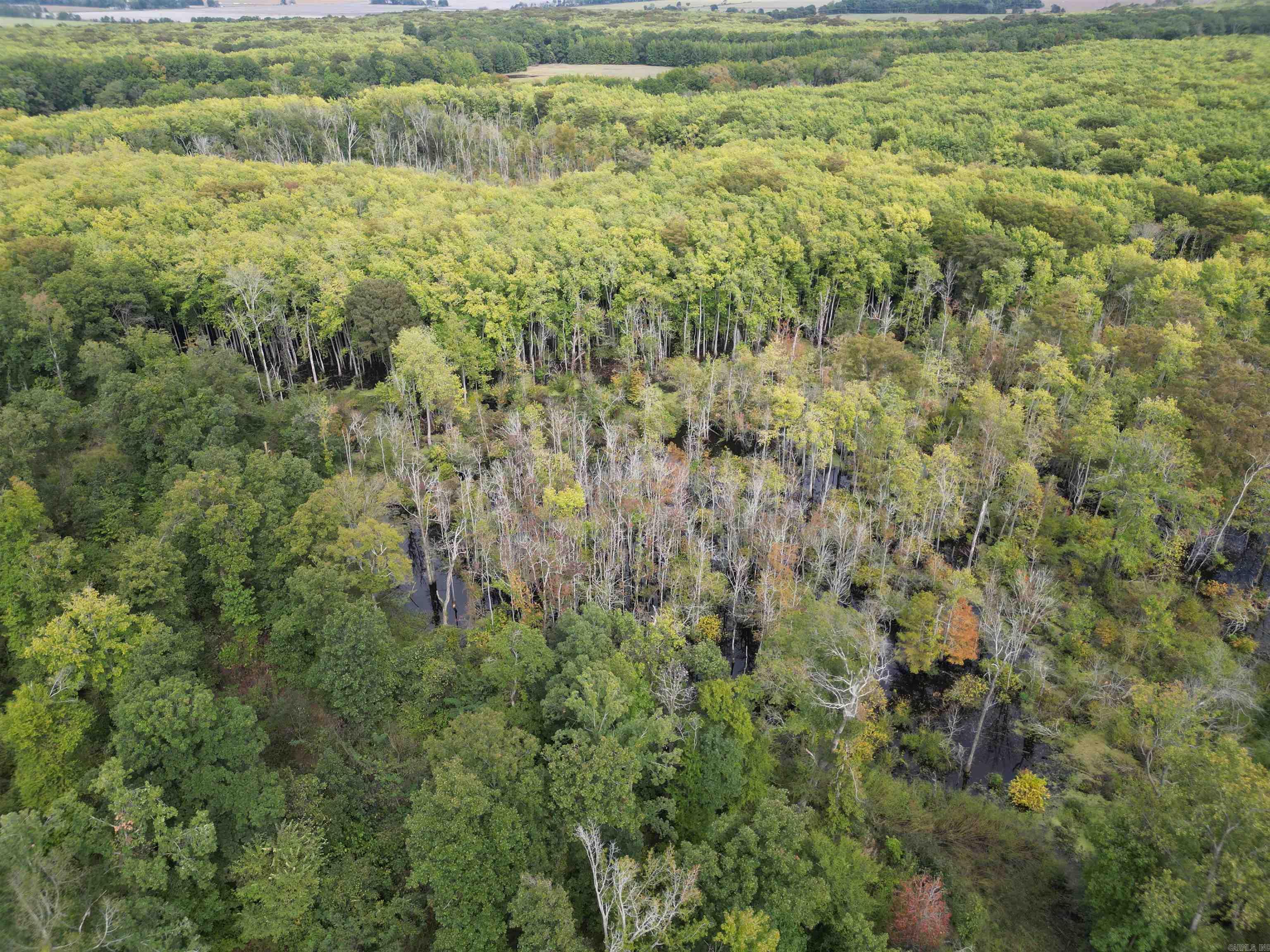 Not in Subdivision - Land