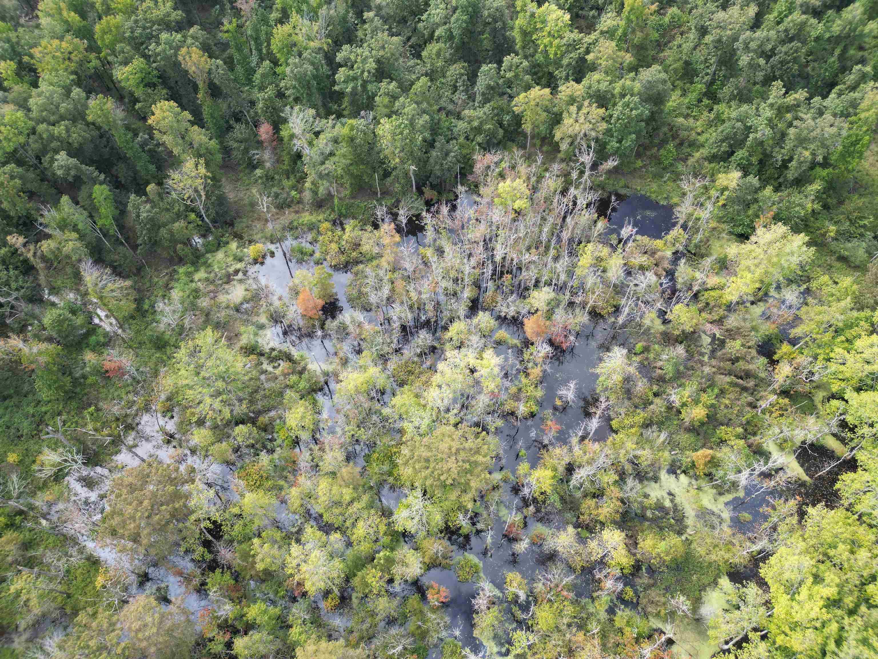 Not in Subdivision - Land