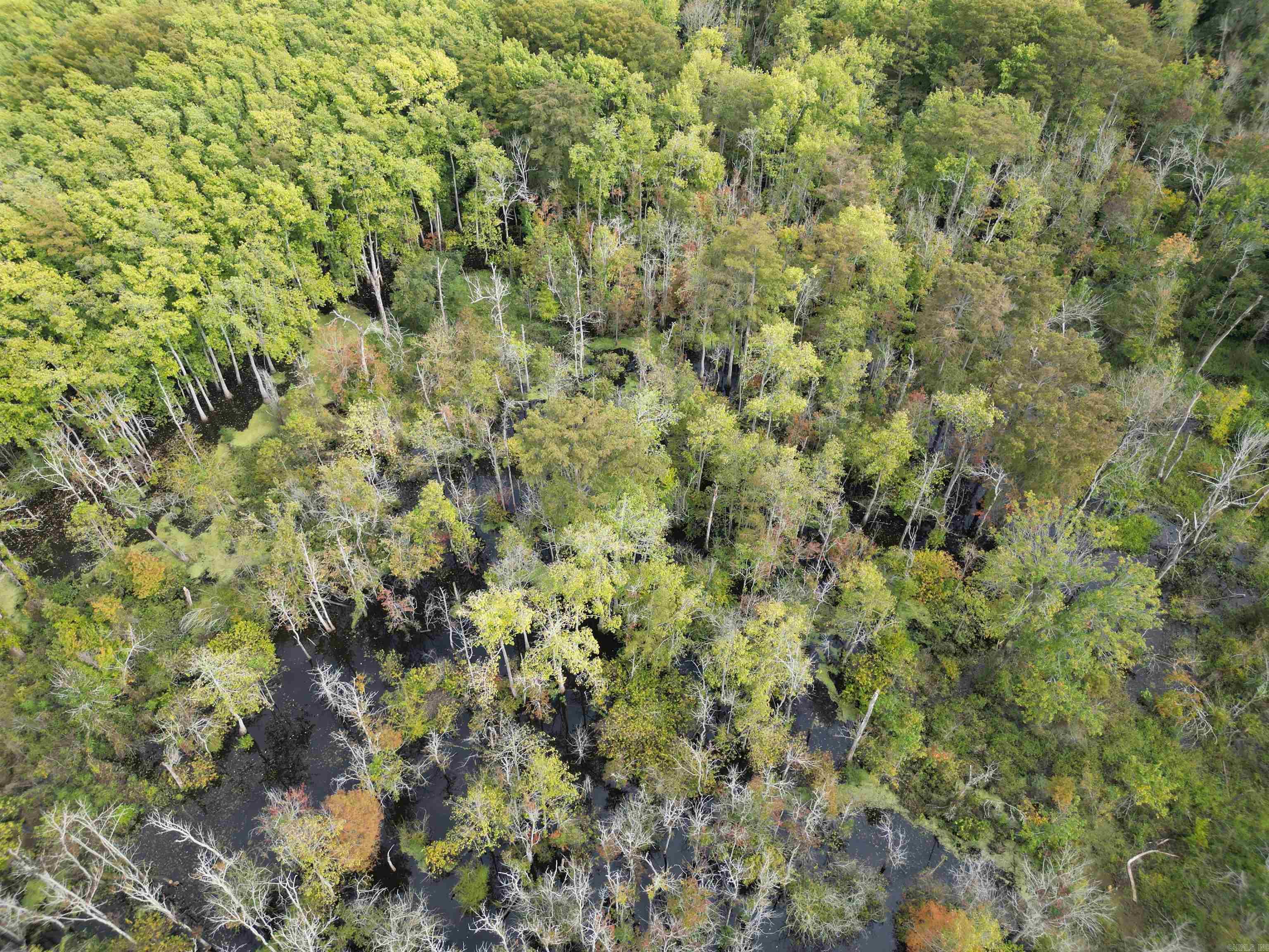 Not in Subdivision - Land