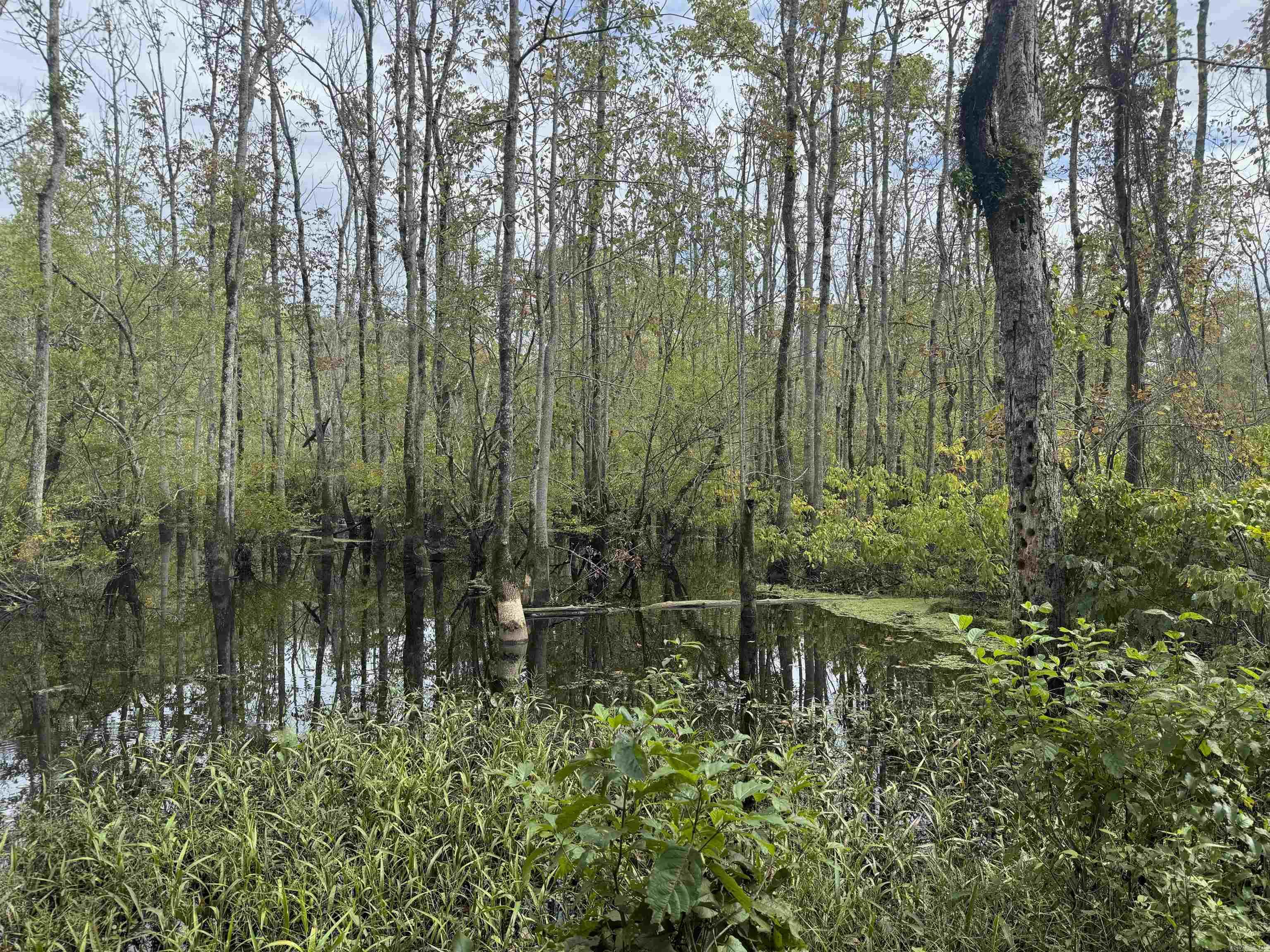 Not in Subdivision - Land