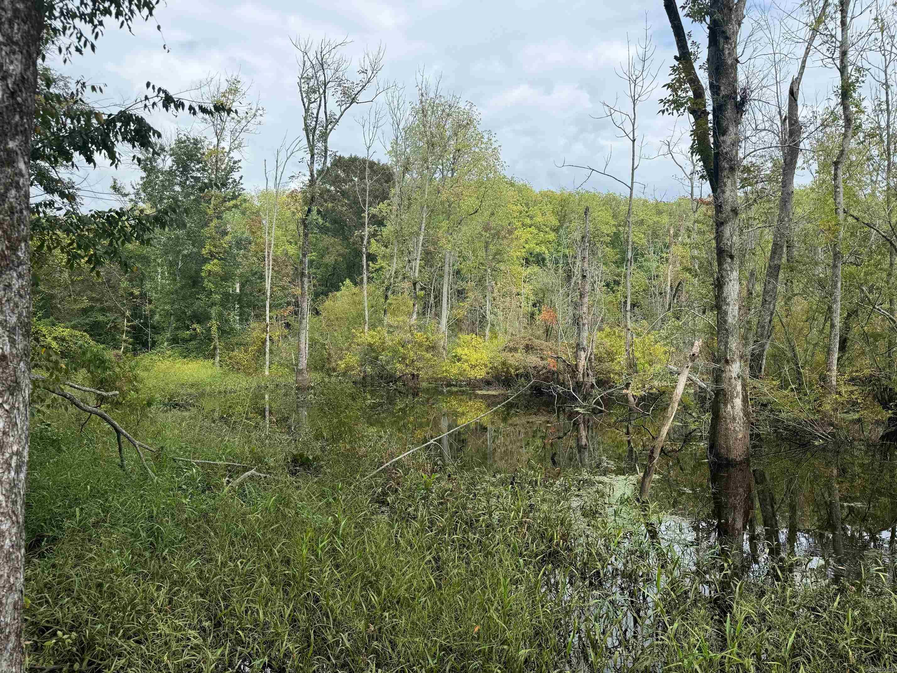 Not in Subdivision - Land