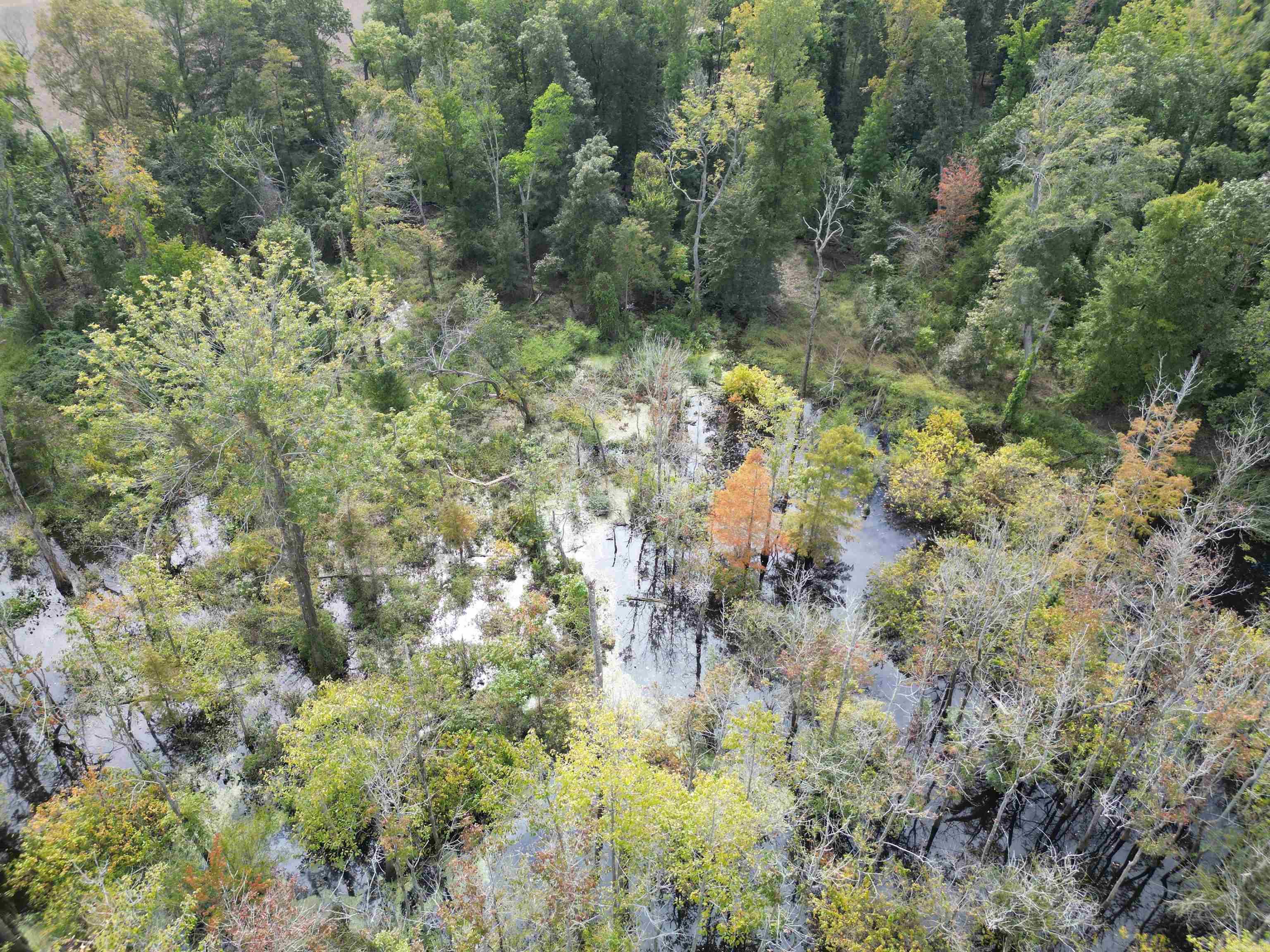 Not in Subdivision - Land