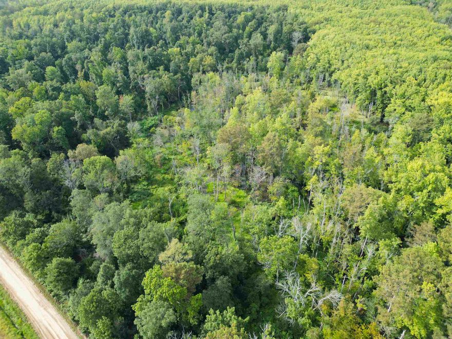 40+/- acres of hunting ground located near Big Creek in Lee County, Arkansas. This property is located 5 miles west of Aubrey on CR 177. Spots like this are hard to come by. This property has partially flooded timber based on the levels of Big Creek perfect for duck hunters and deer hunters.