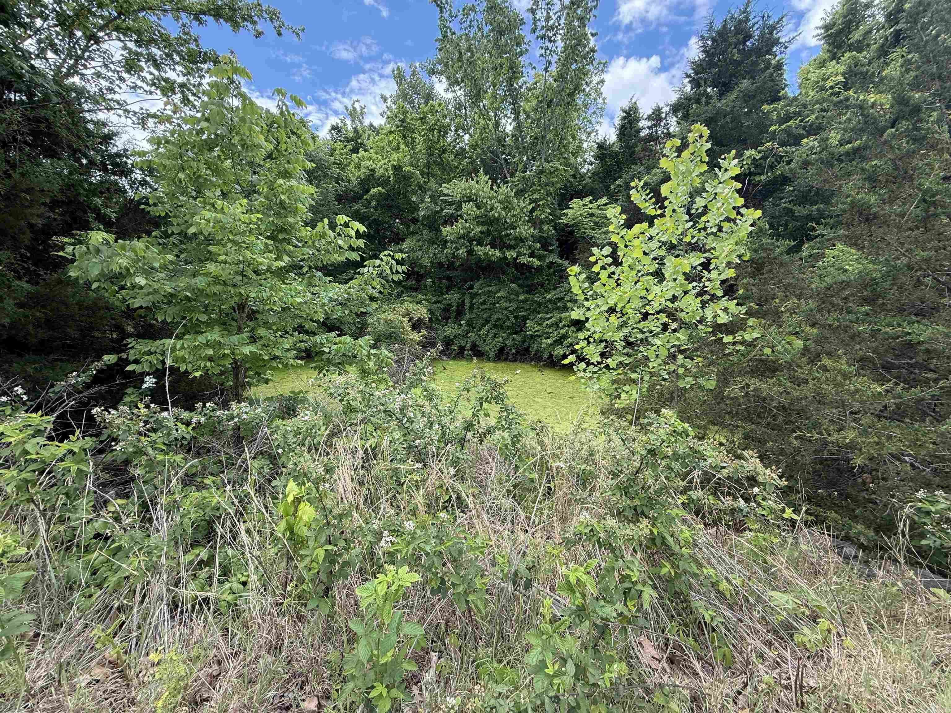 Not in Subdivision - Land