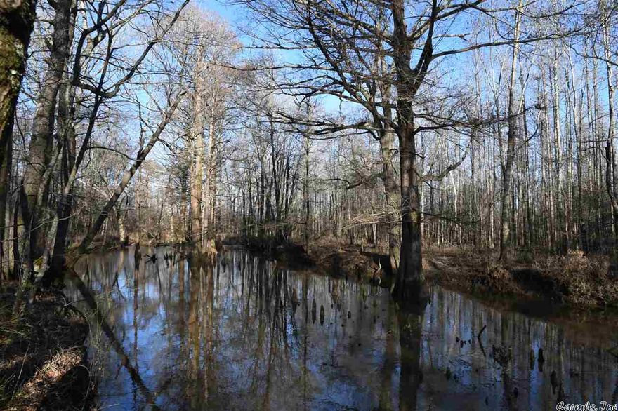Ducks, Deer and Turkey all in one location just 30 minutes from Little Rock! This 365 acre property is located on Apple Hill Road just outside of Beebe, AR. The property is situated along Cypress Bayou with great whitetail hunting as well as duck hunting in the flooded timber and reservoir. This property has very diverse habitat consisting of natural bottomland hardwood, 150 acres of 20 year-old planted hardwood, 40 acres of open marsh, a 40 acre reservoir and upland pine with some clear-cut.