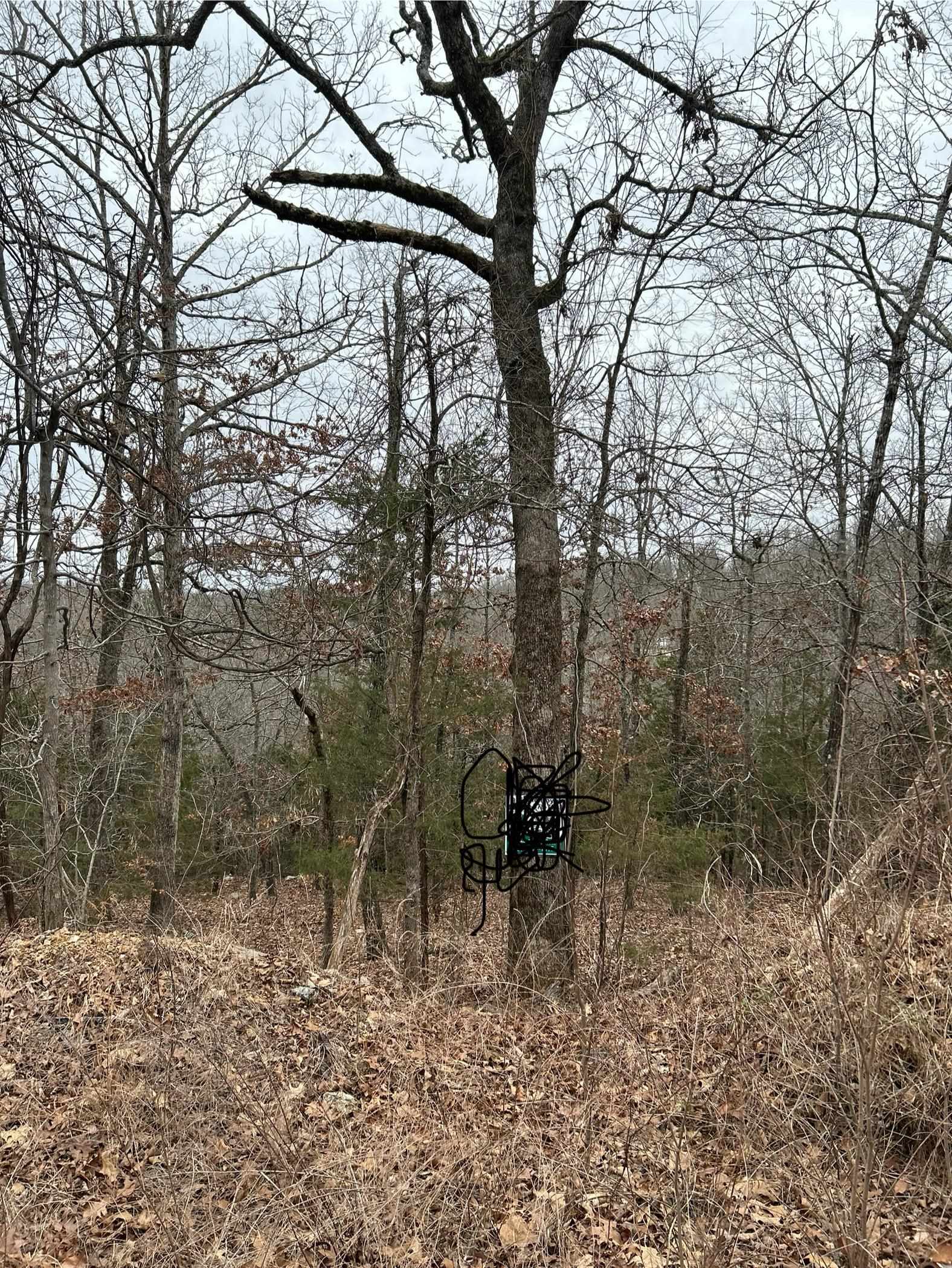 Sloped with a beautiful view of the Ozarks close to Cherokee Village town center and Highland with shopping and restaurants. Enjoy all the amenities that Cherokee Village has to offer such as golf, 7 lakes and recreation center